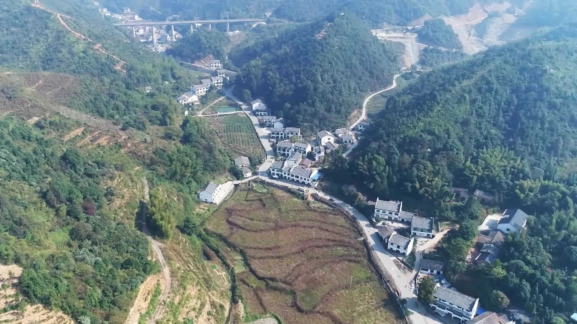 枫林镇枫情万种的文旅特色小镇