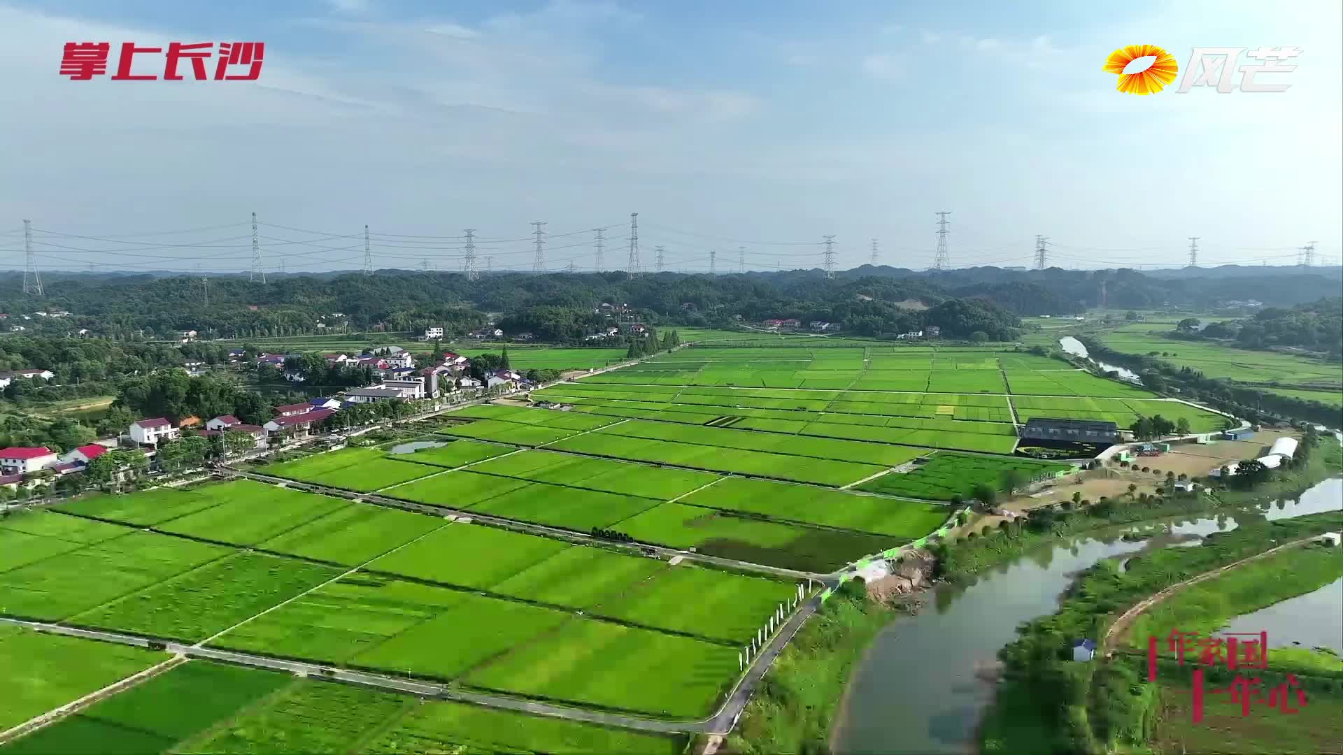 《十年家國(guó)十年心》第四十九集丨楊曉艷：從白領(lǐng)到“農(nóng)領(lǐng)”