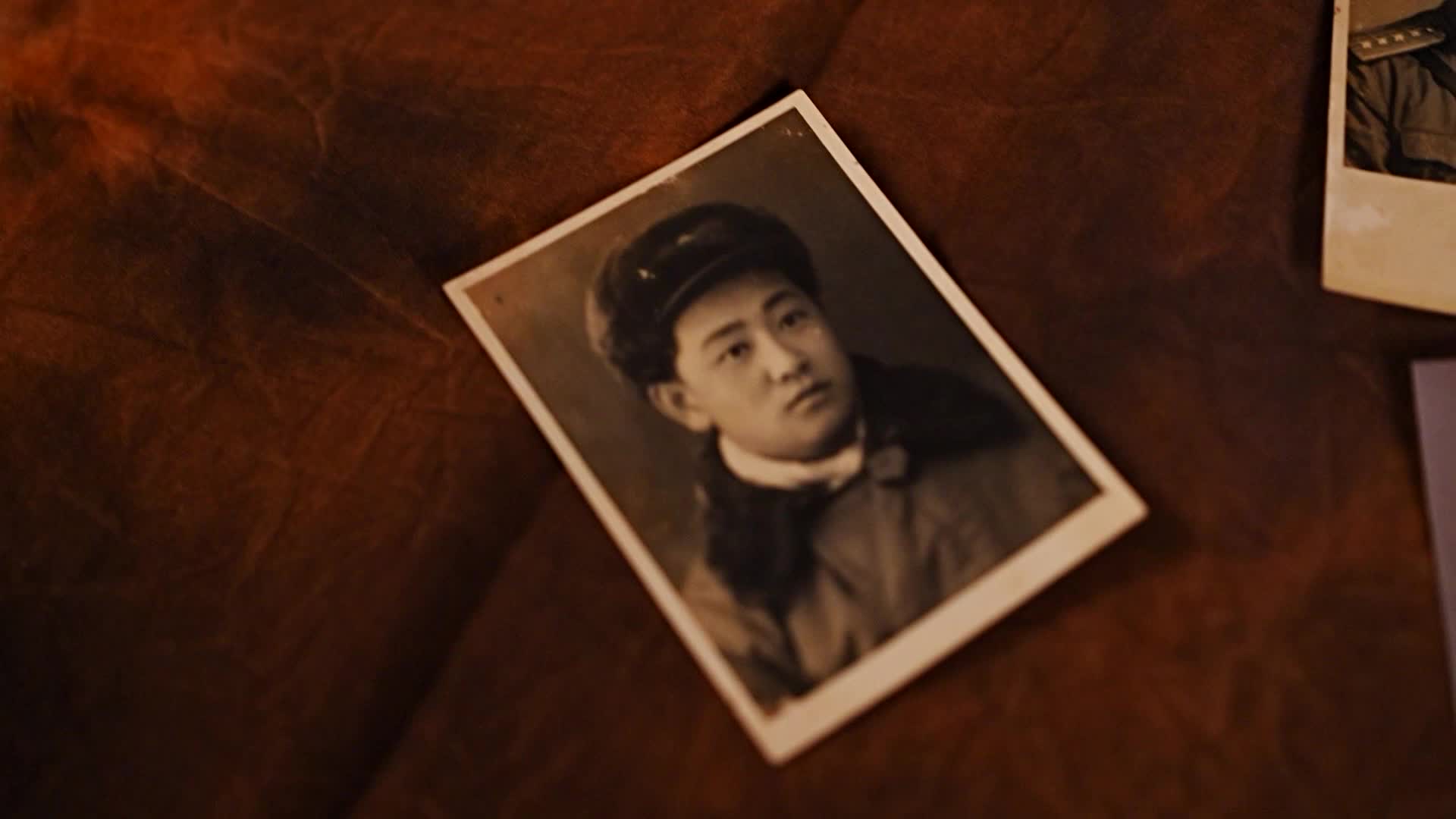 《1950他们正年轻》