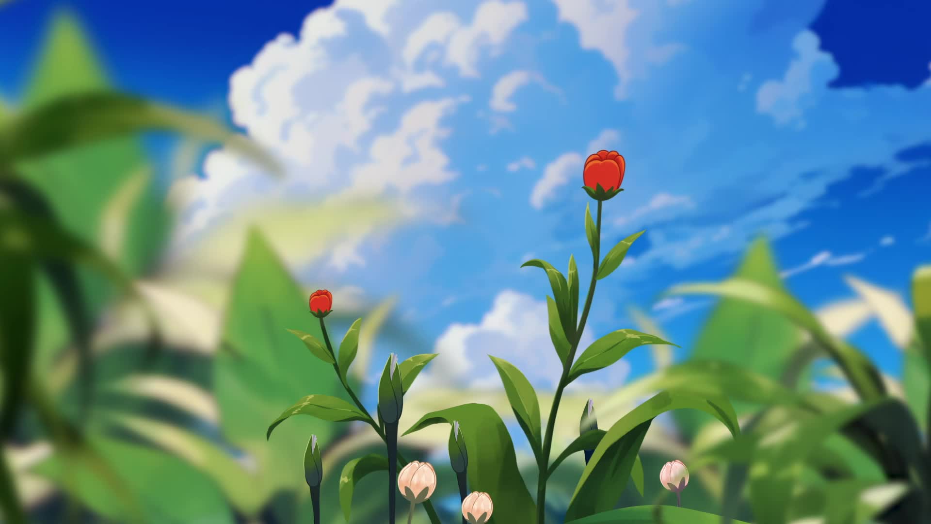 视频 | 双色球送你一朵小红花，让梦想开花