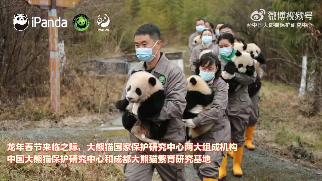 前方高萌！2023级熊猫宝宝集体拜年