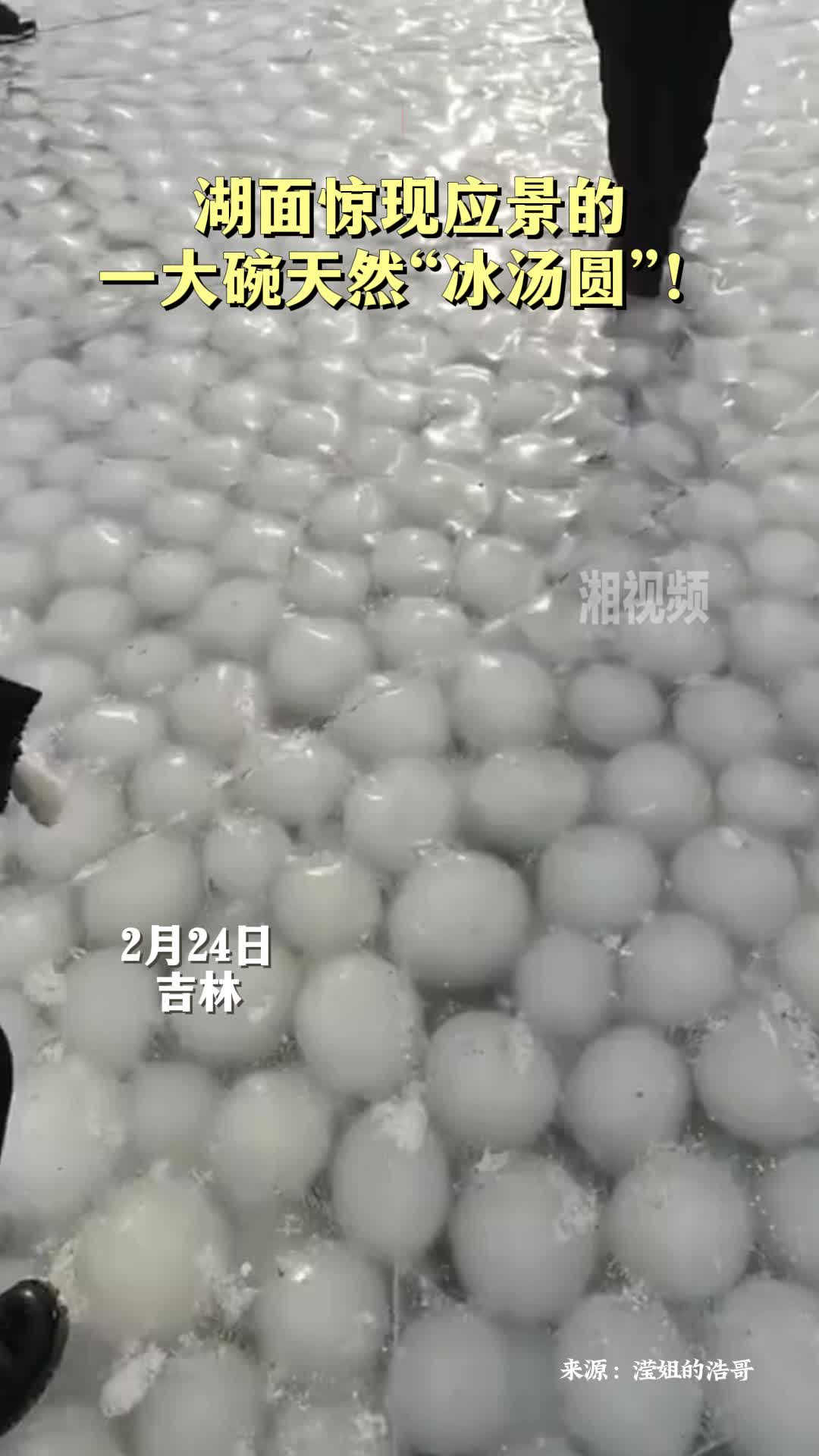 湖面惊现应景的一大碗天然“冰汤圆”