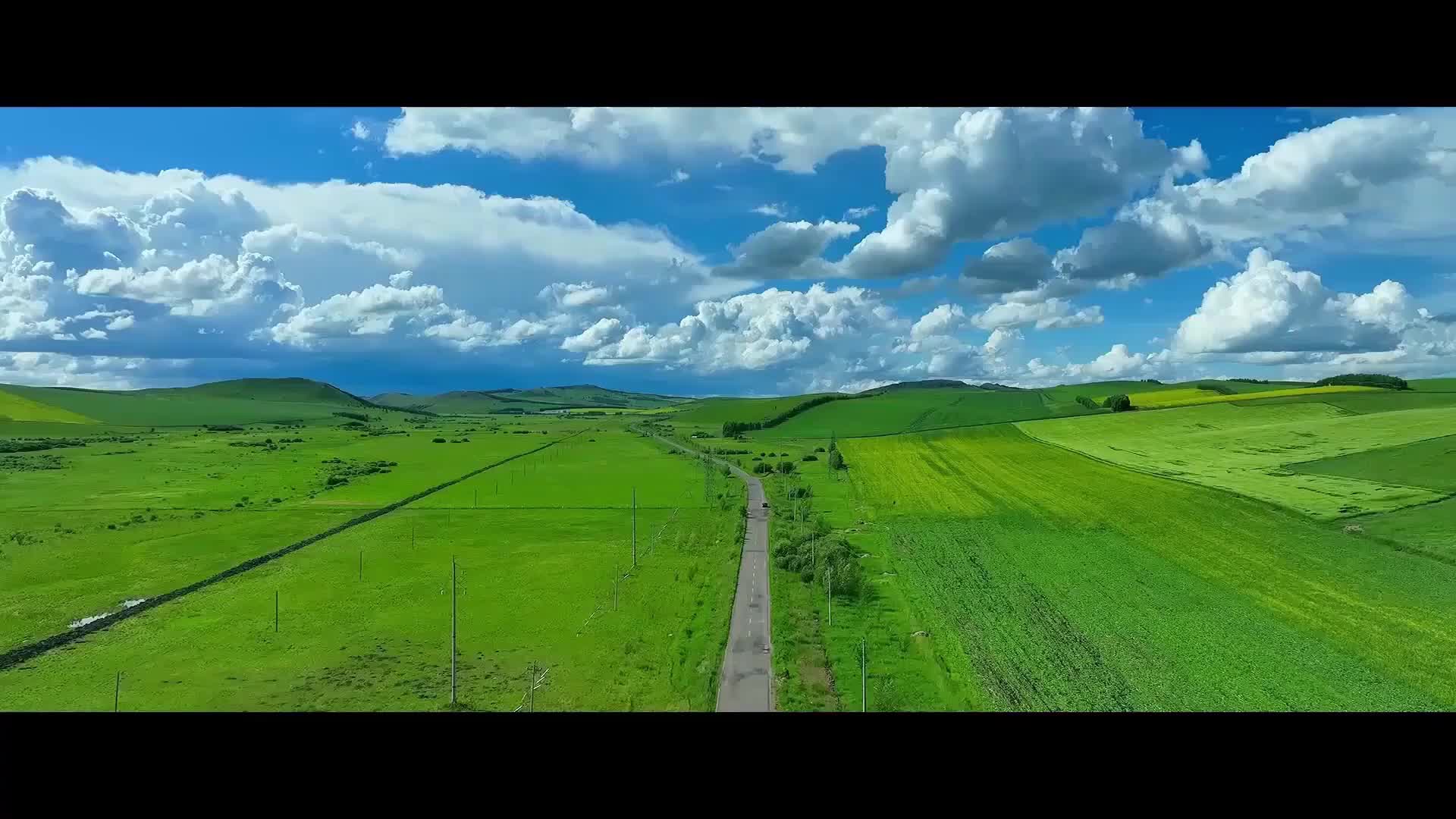 "县"在出发——行走百县话振兴 | 秦岭深处蕴"网"情 奋起路上的佛坪故