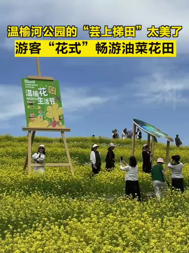 温榆河公园的“芸上梯田”太美了，游客“花式”畅游油菜花田