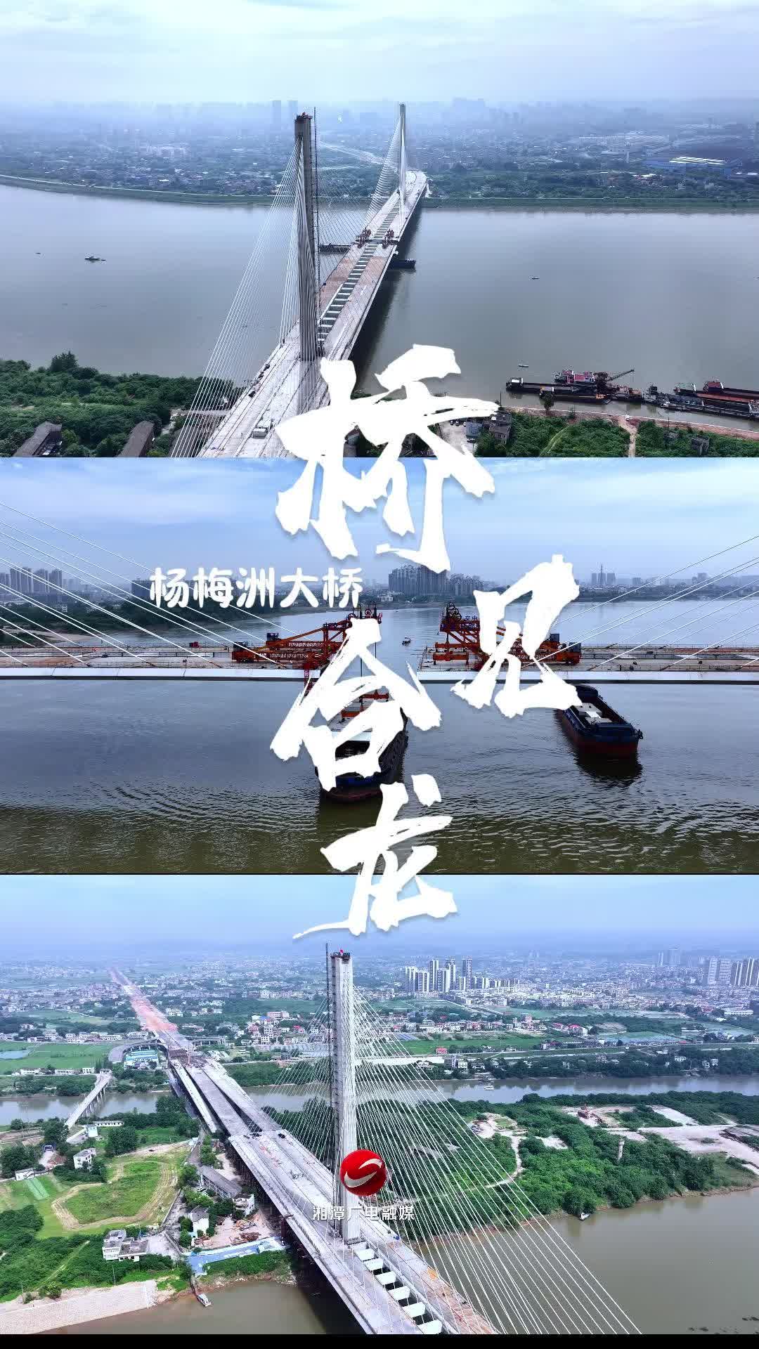 最新！湘潭杨梅洲大桥距离合龙仅剩6.8米