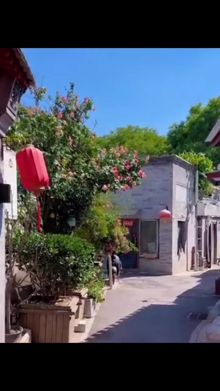 初夏的北京胡同有多美，来赴一场夏日之约吧