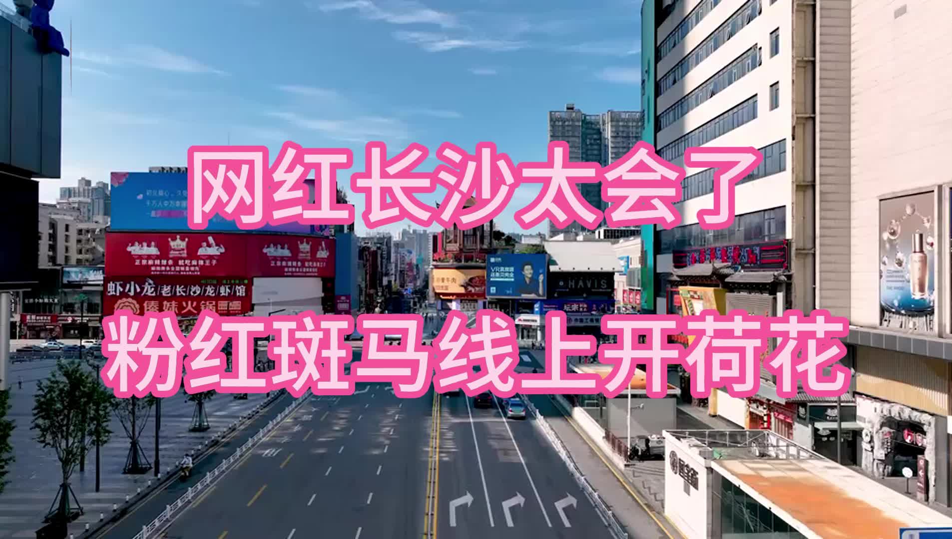 玩一夏⑨|网红长沙太会了!粉红斑马线上“开”出荷花