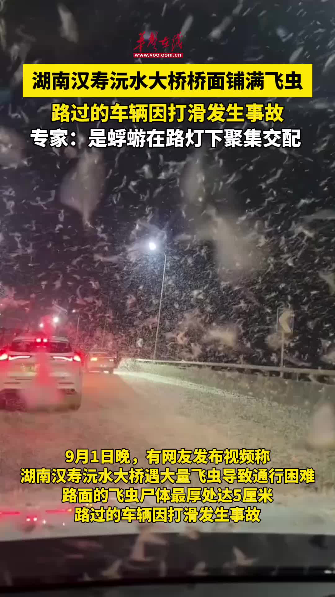 湖南汉寿沅水大桥 桥面出现大量蜉蝣致车辆打滑