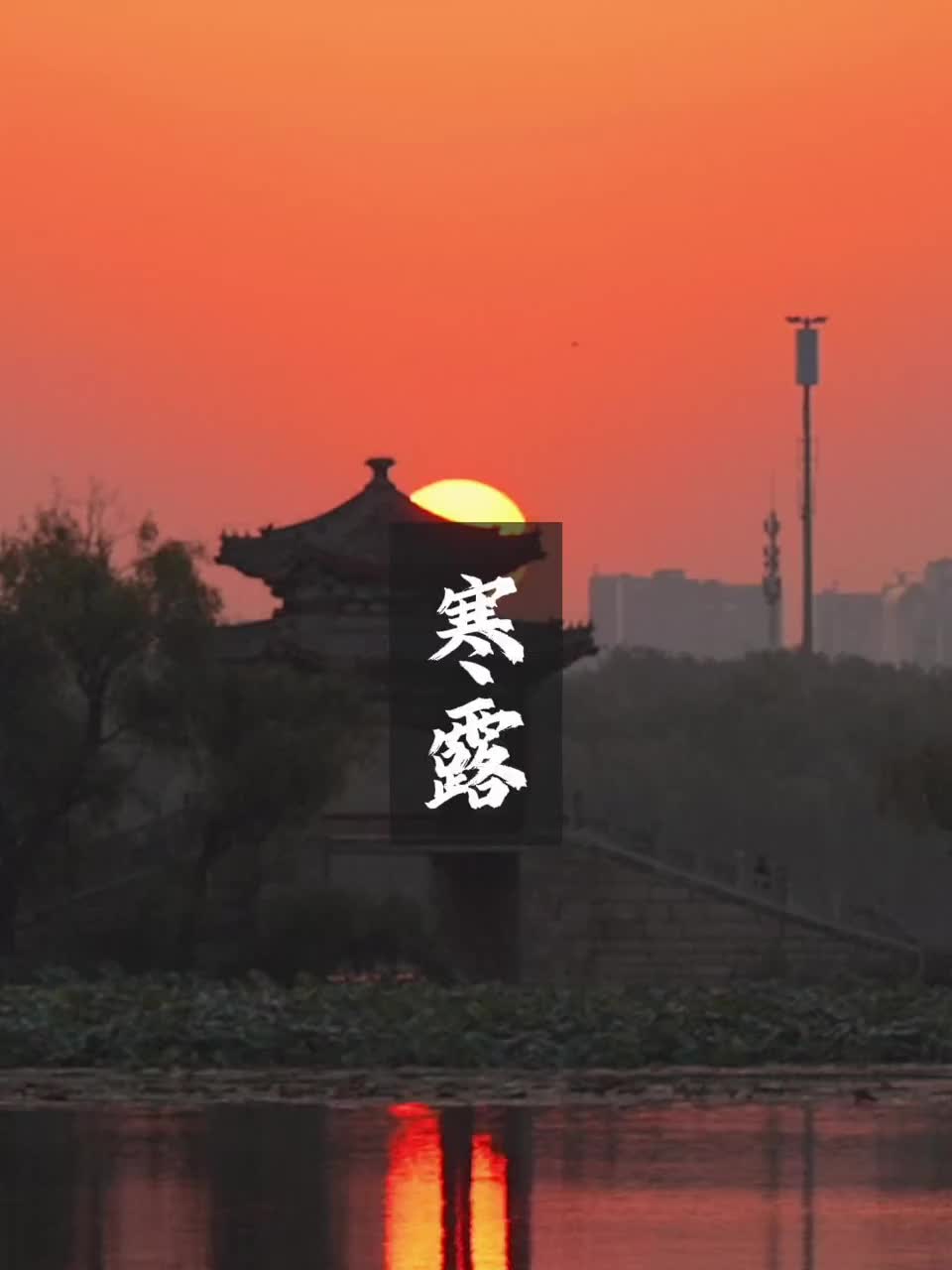 藏在诗词中的寒露，到底有多惊艳？
