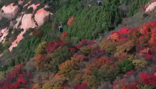 秋意正浓，乘八达岭索道尽赏秋日美景