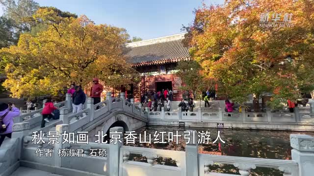 香山公園:秋天的紅葉盛宴,感受最美的北京