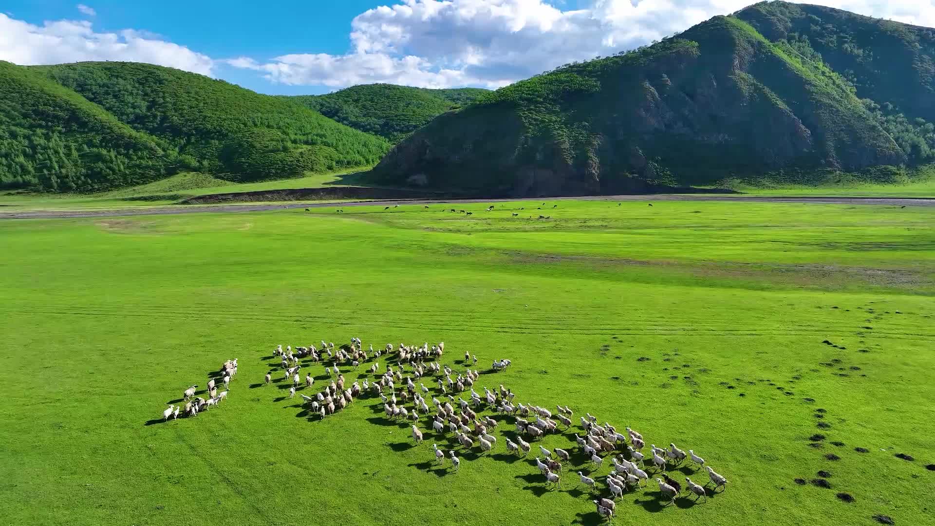视频·石榴花开⑦丨山间水边，那首想他的歌