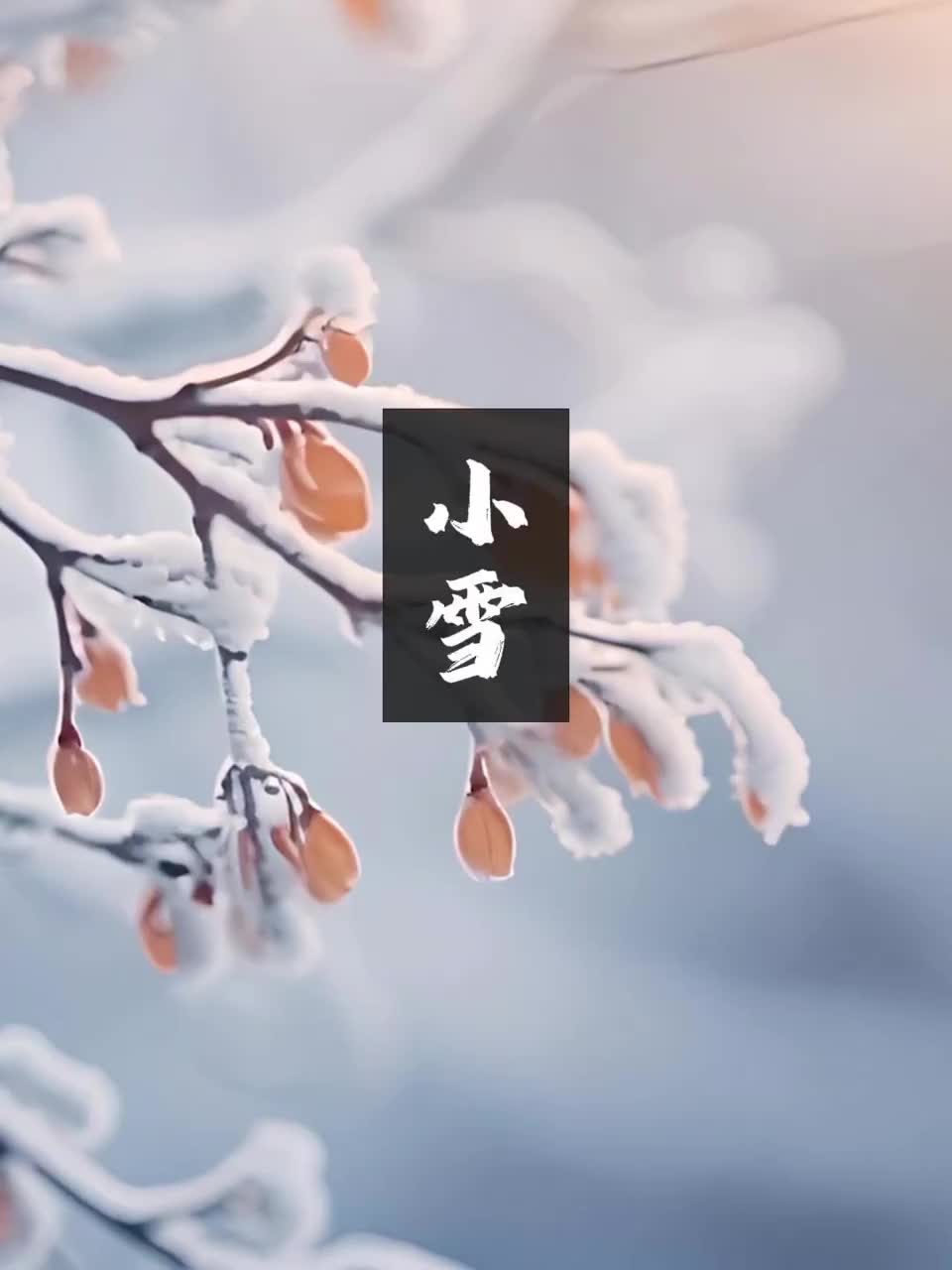 诗词里的24节气｜小雪