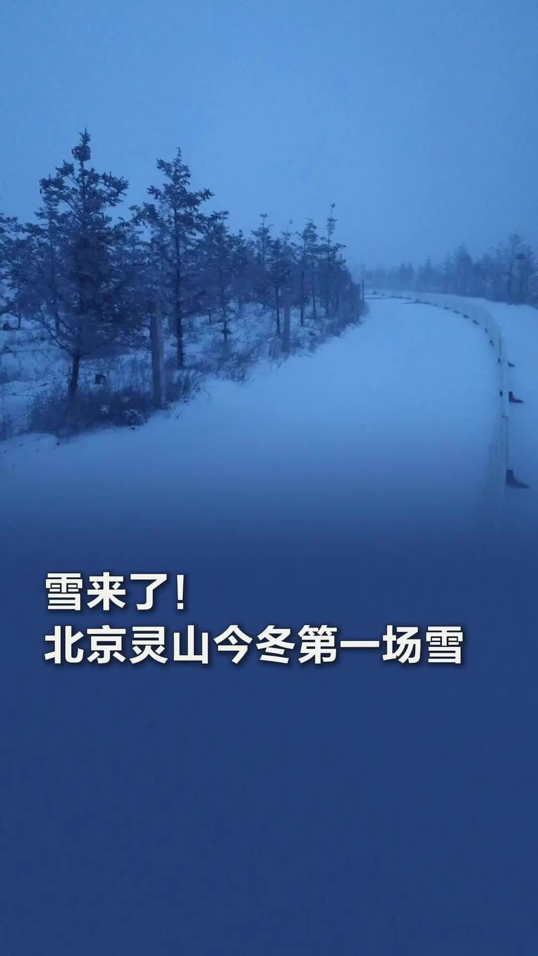 雪来了！看北京灵山今冬第一场雪