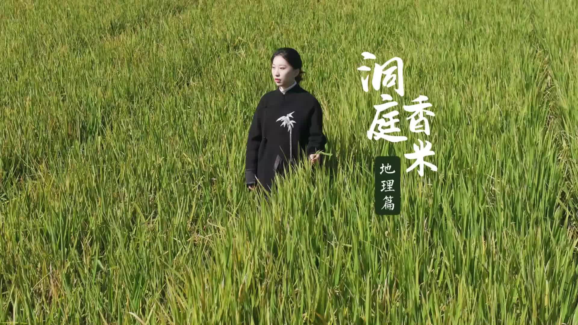 一方水土養(yǎng)一方好“米”——揭秘洞庭香米的地理密碼