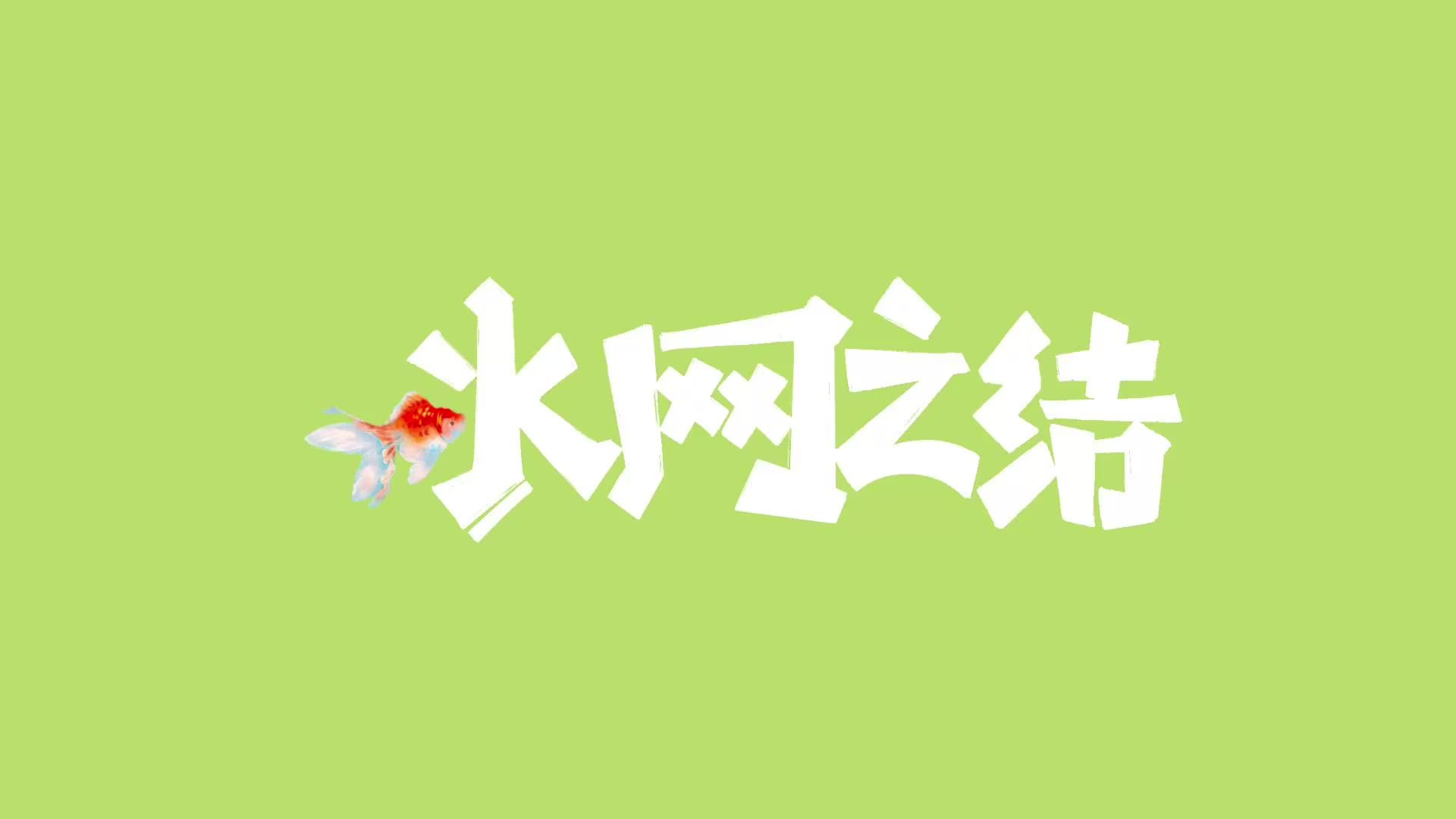 水網(wǎng)之結(jié)