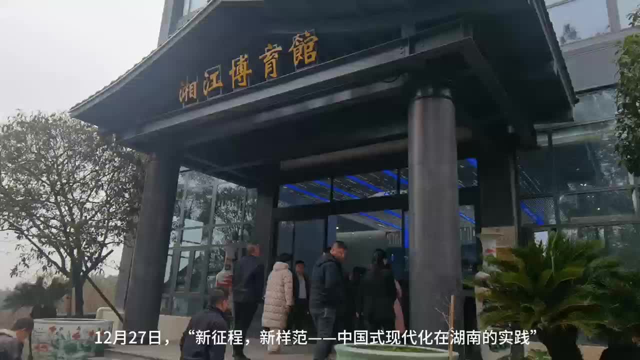 視頻|在“湘江?博育館”里 看婁底“電建湘軍”乘風(fēng)破浪