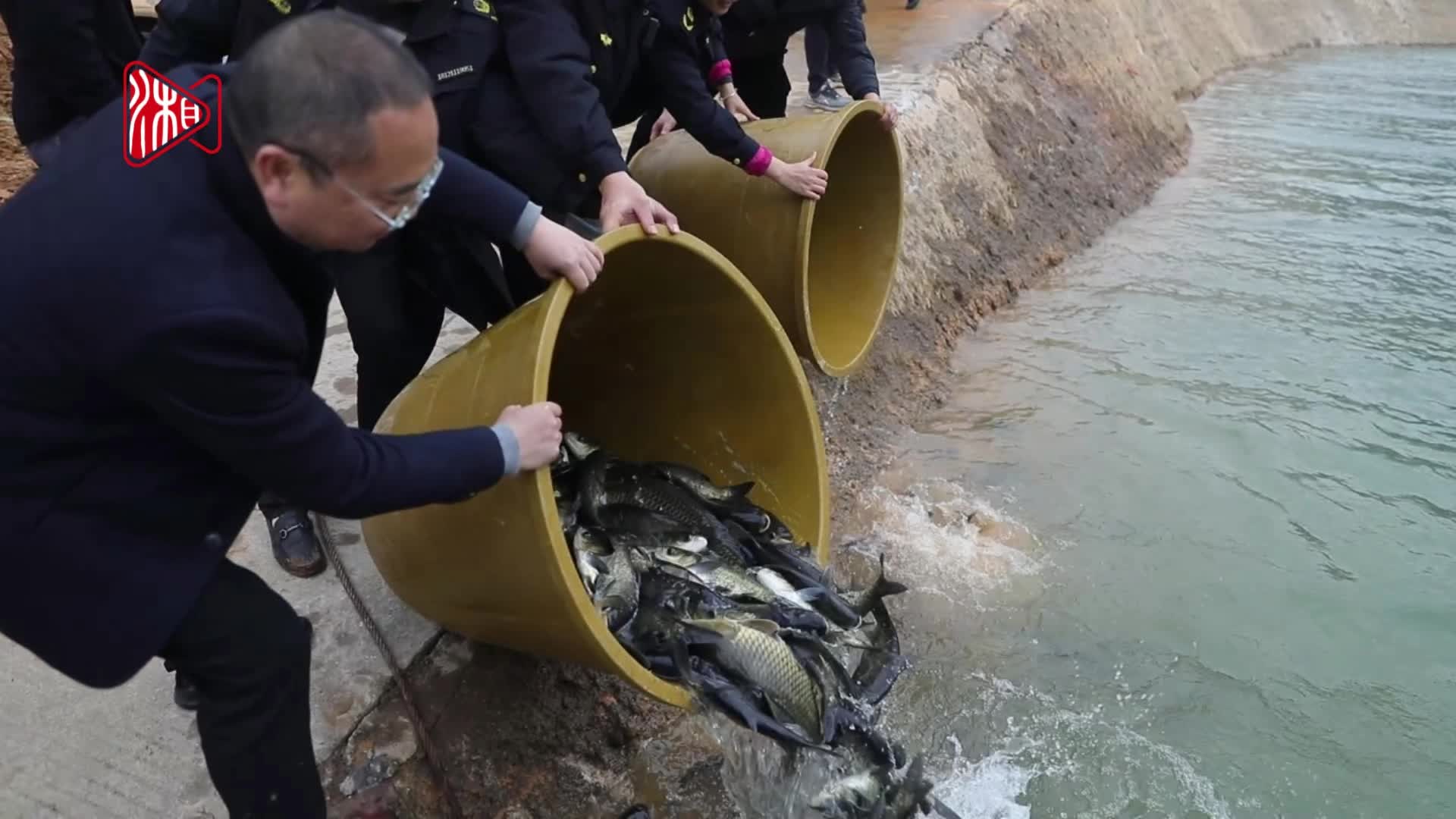 5萬尾大魚種苗放流涔天河水庫