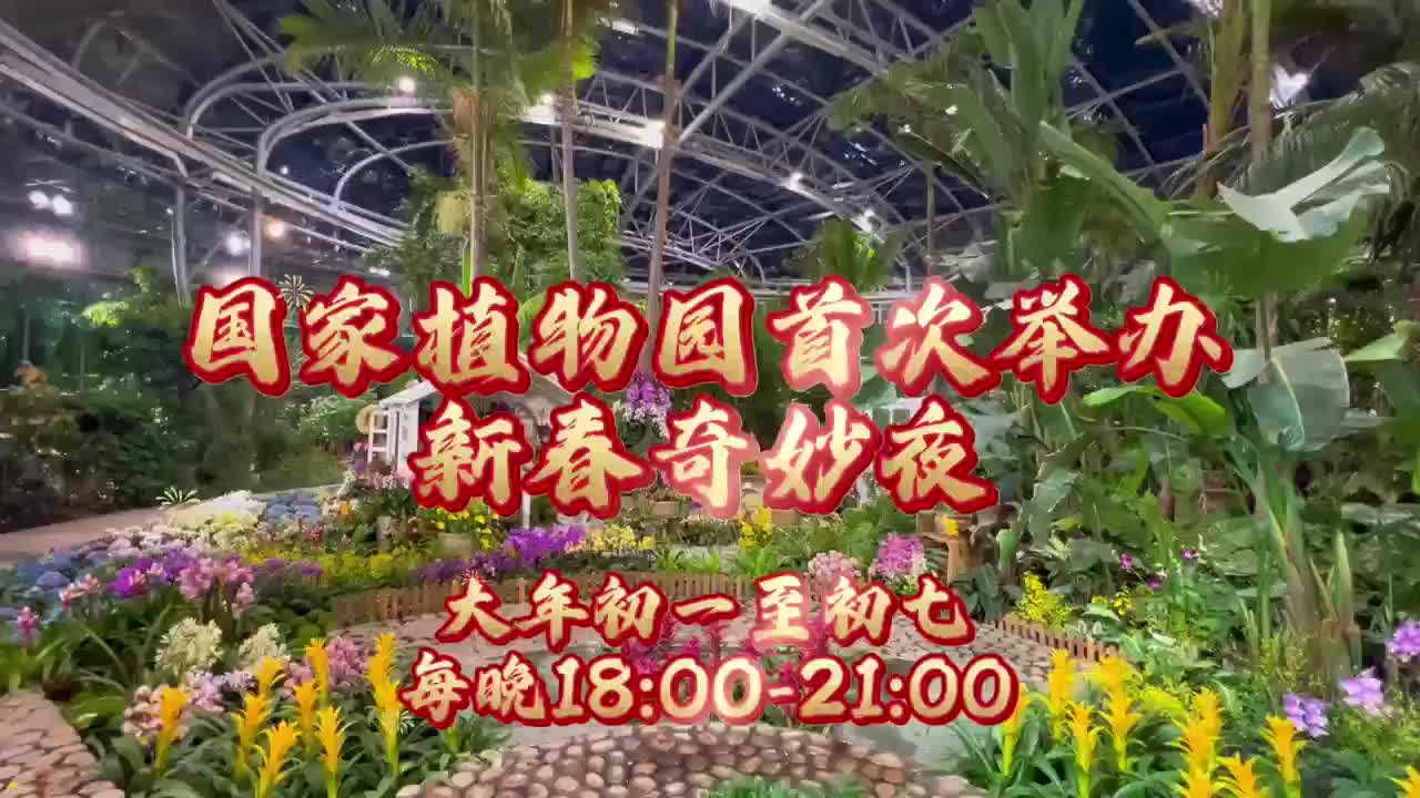 500余种花卉+灯光秀亮相国家植物园，夜游活动持续到初七