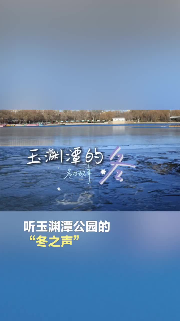 聽，玉淵潭公園的“冬之聲”——