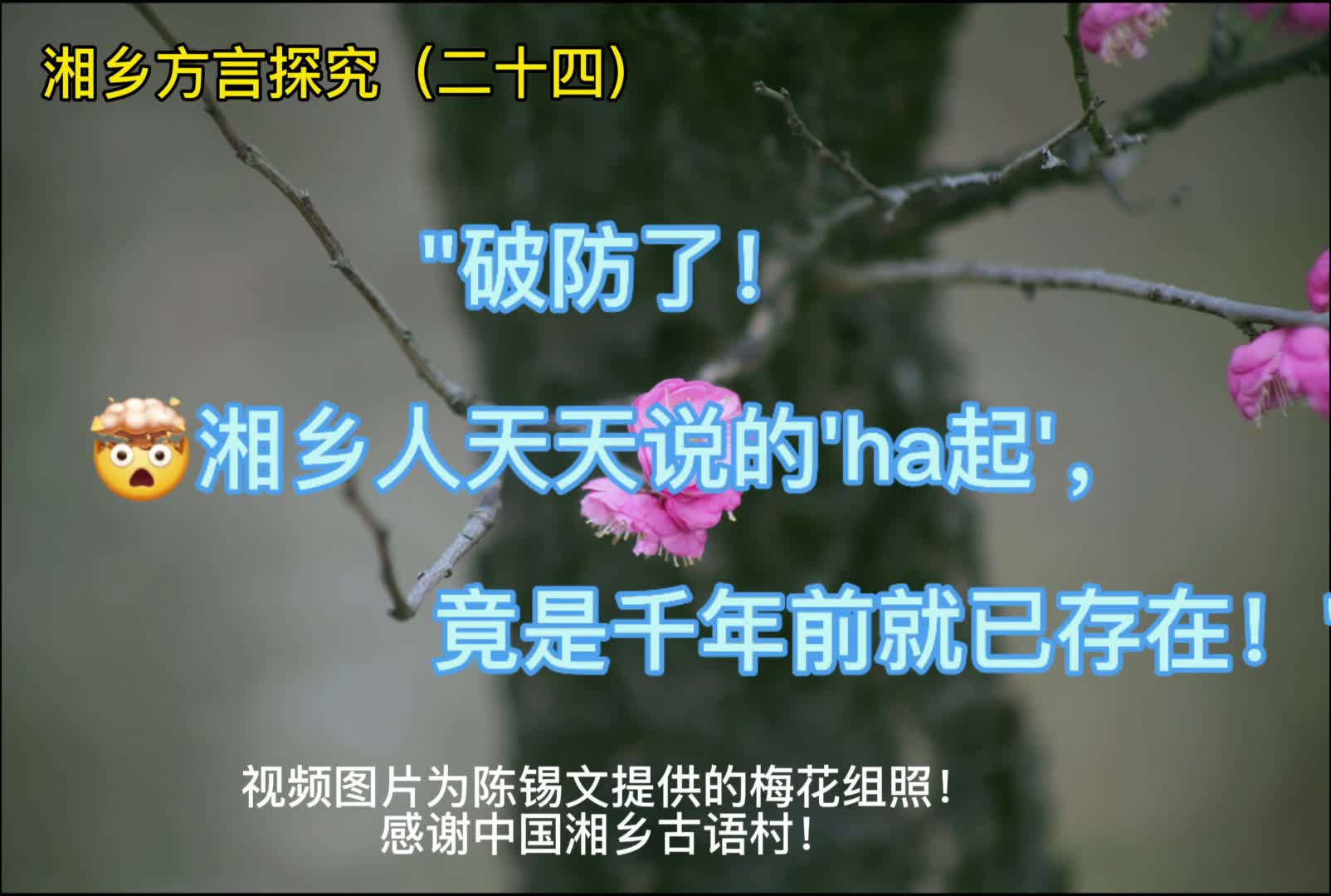 湘乡方言探究㉔｜湘乡话“ha”这个动作，是哪个字