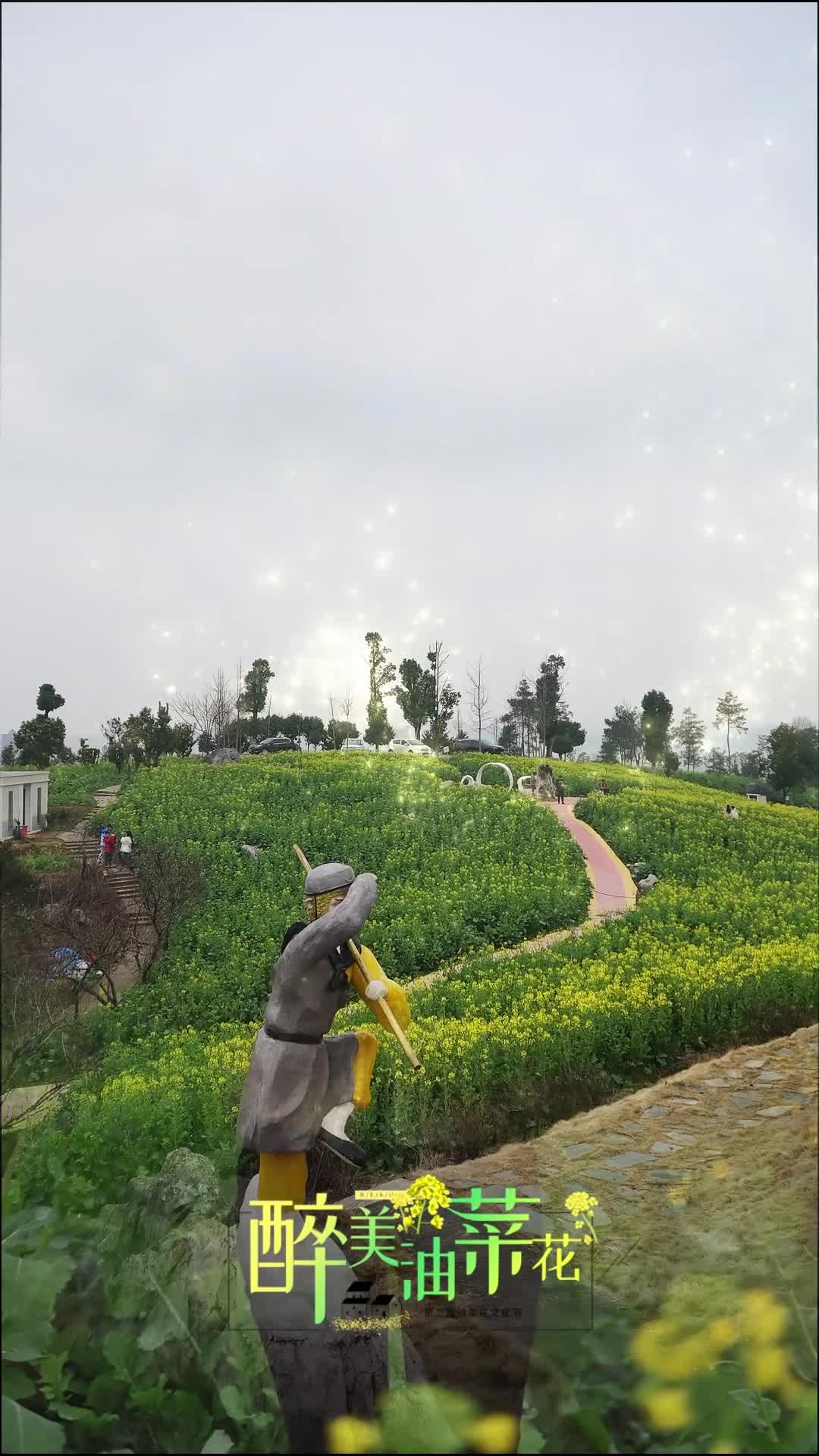 视频丨春暖花开好时节！涟源市六亩塘街道油菜花盛开