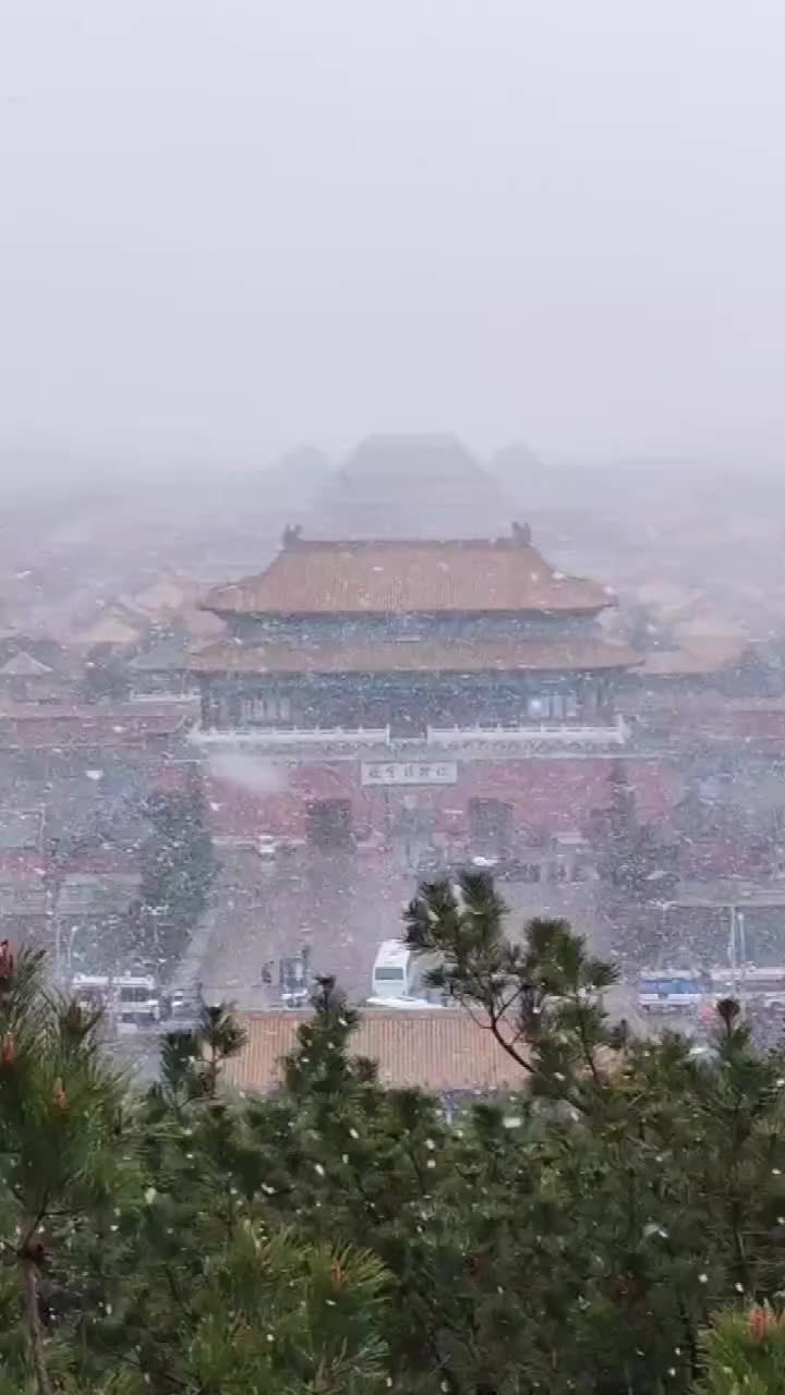 白雪却嫌春色晚 故穿庭树作飞花