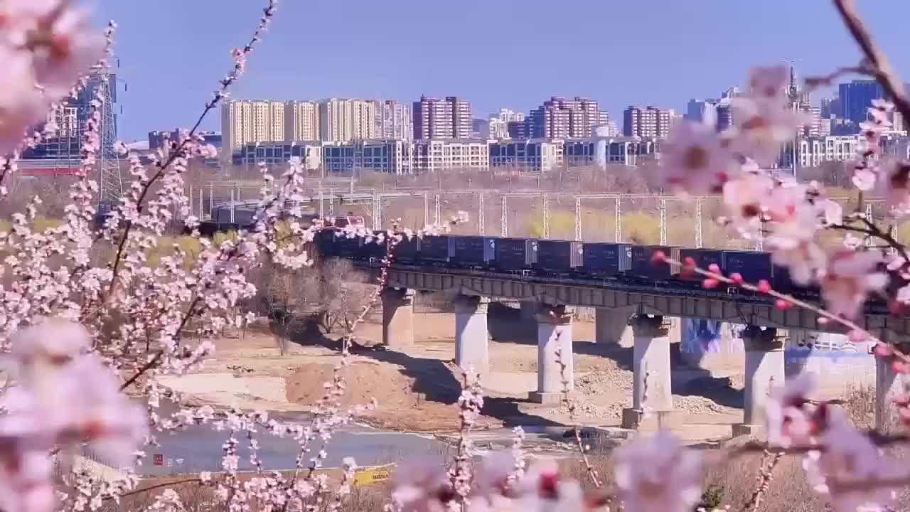 春花大片来了！北京园博园桃花谷也有“开往春天的列车”