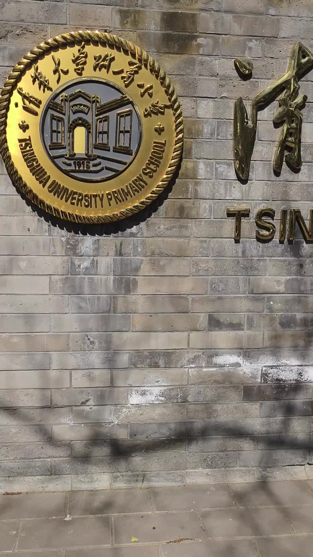 11年来肥胖率下降超10%，清华附小的运动有“AI”