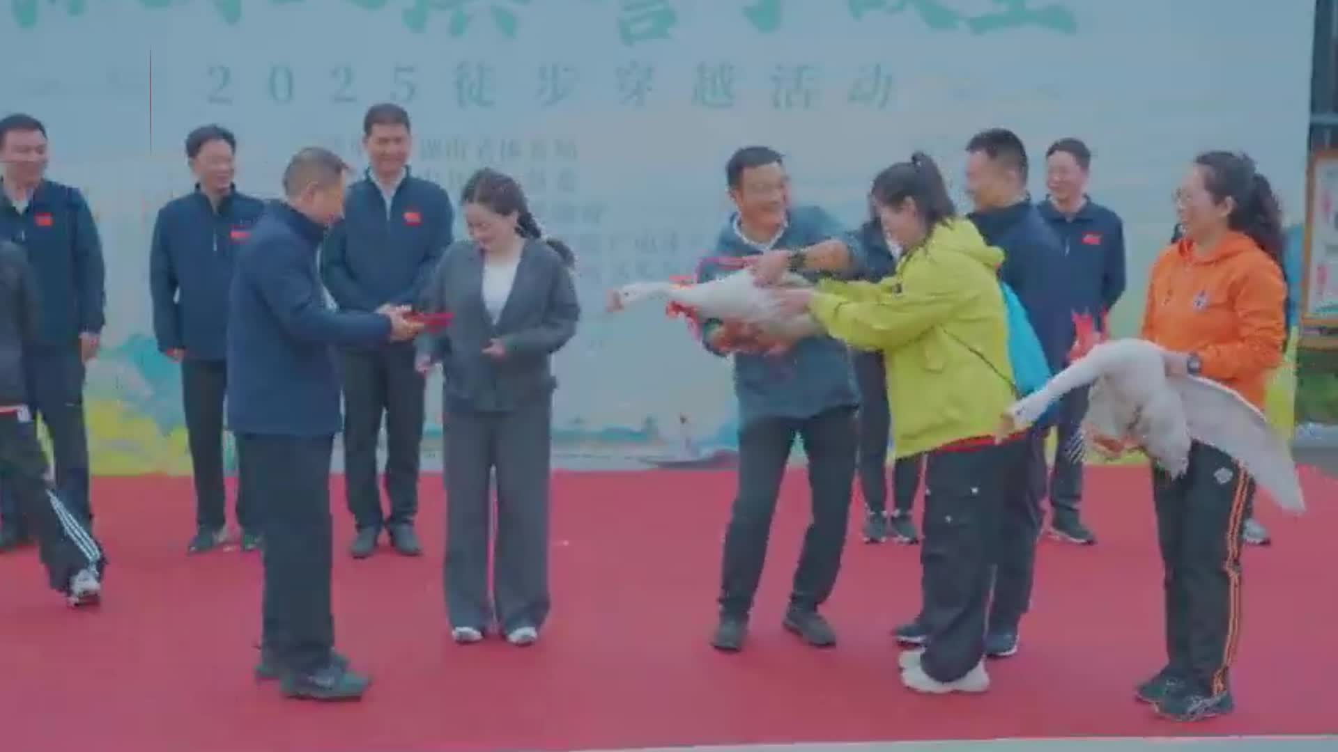 300人徒步穿越溆水之濱……結(jié)果，大鵝來搶鏡？