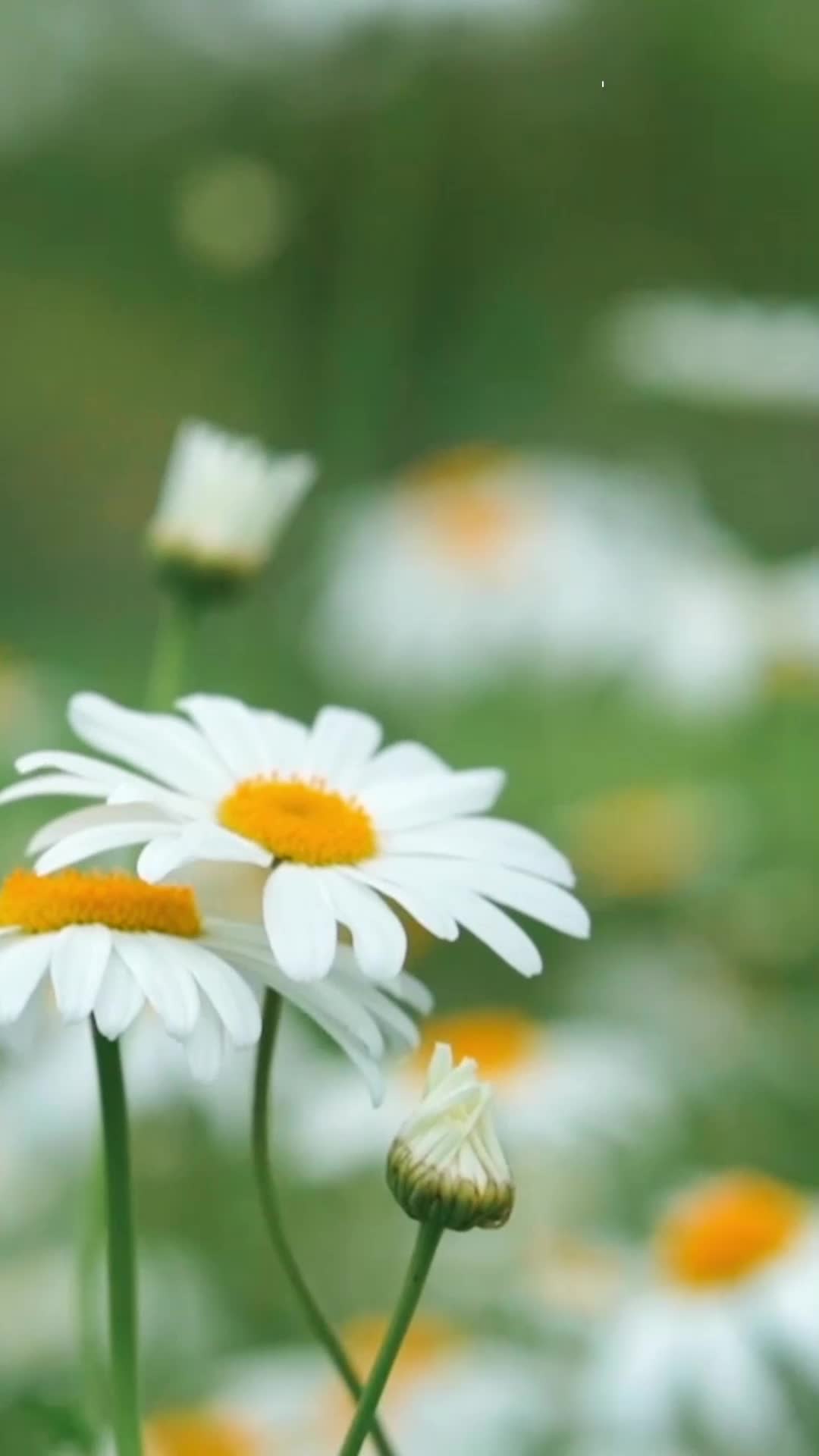 4月14日，早安！