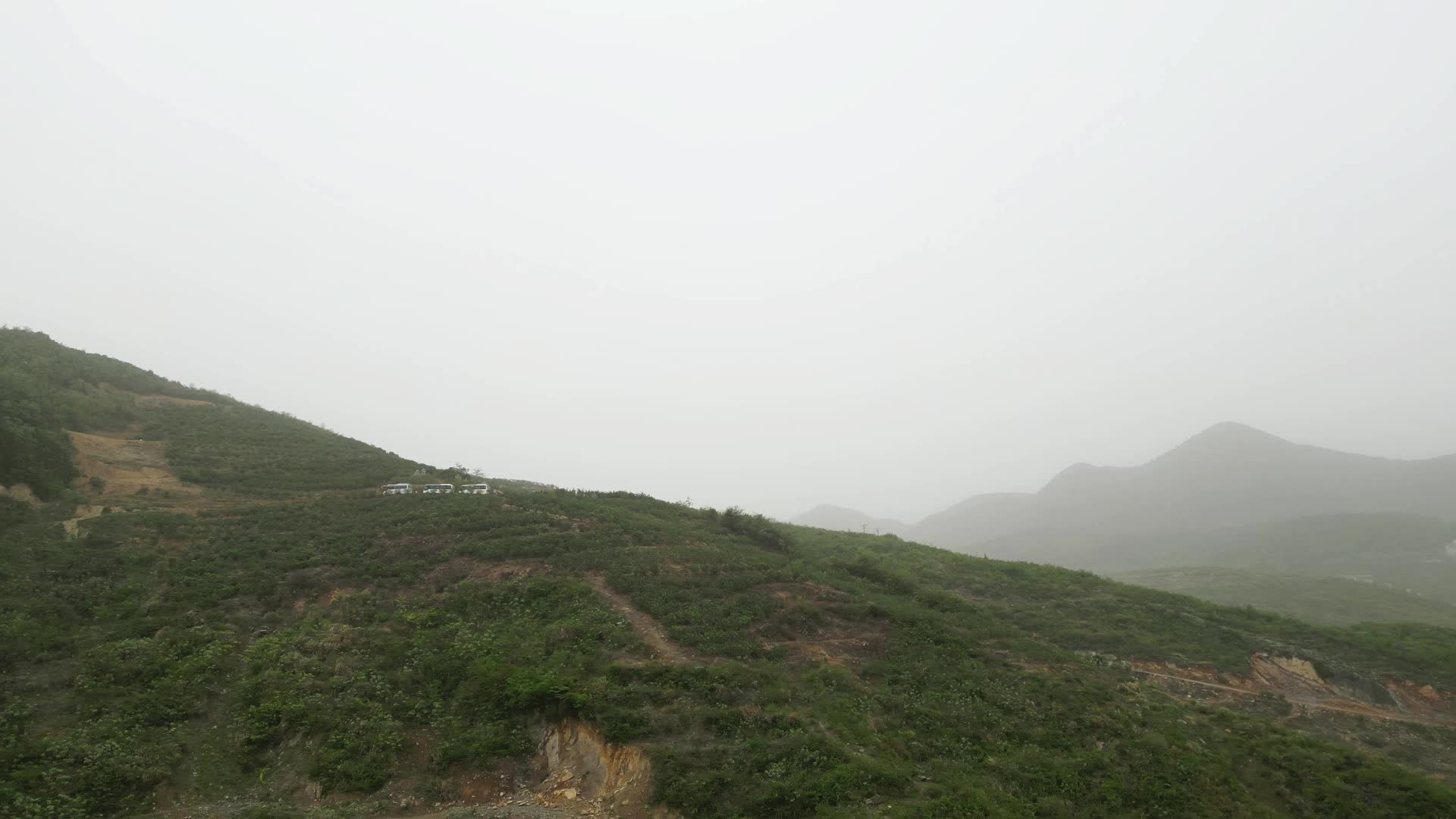 视频|涟源：校企联动助农 科技赋能橙香