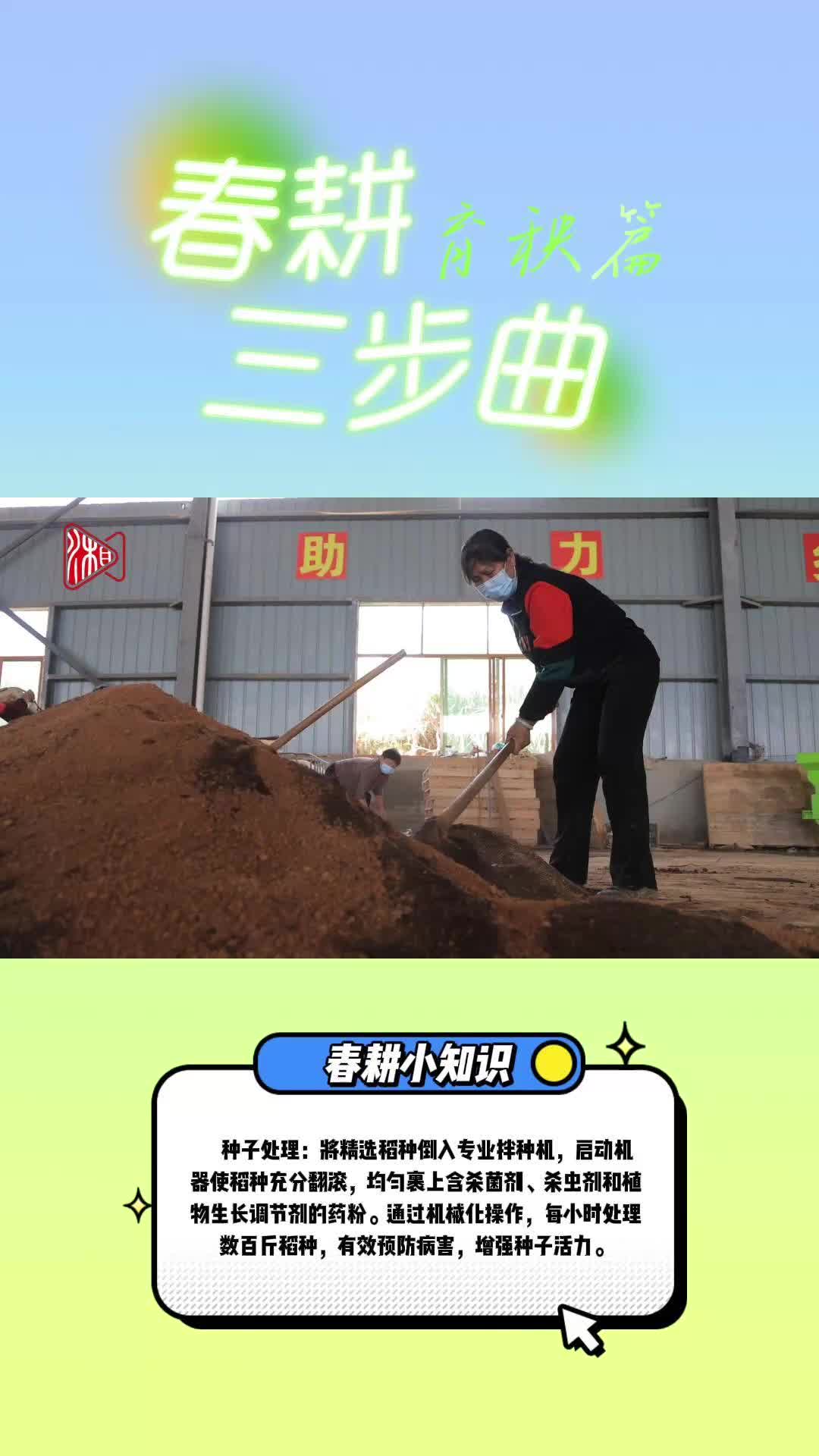 视频｜春耕进行曲之育秧篇：秧好一半禾 苗壮七分收