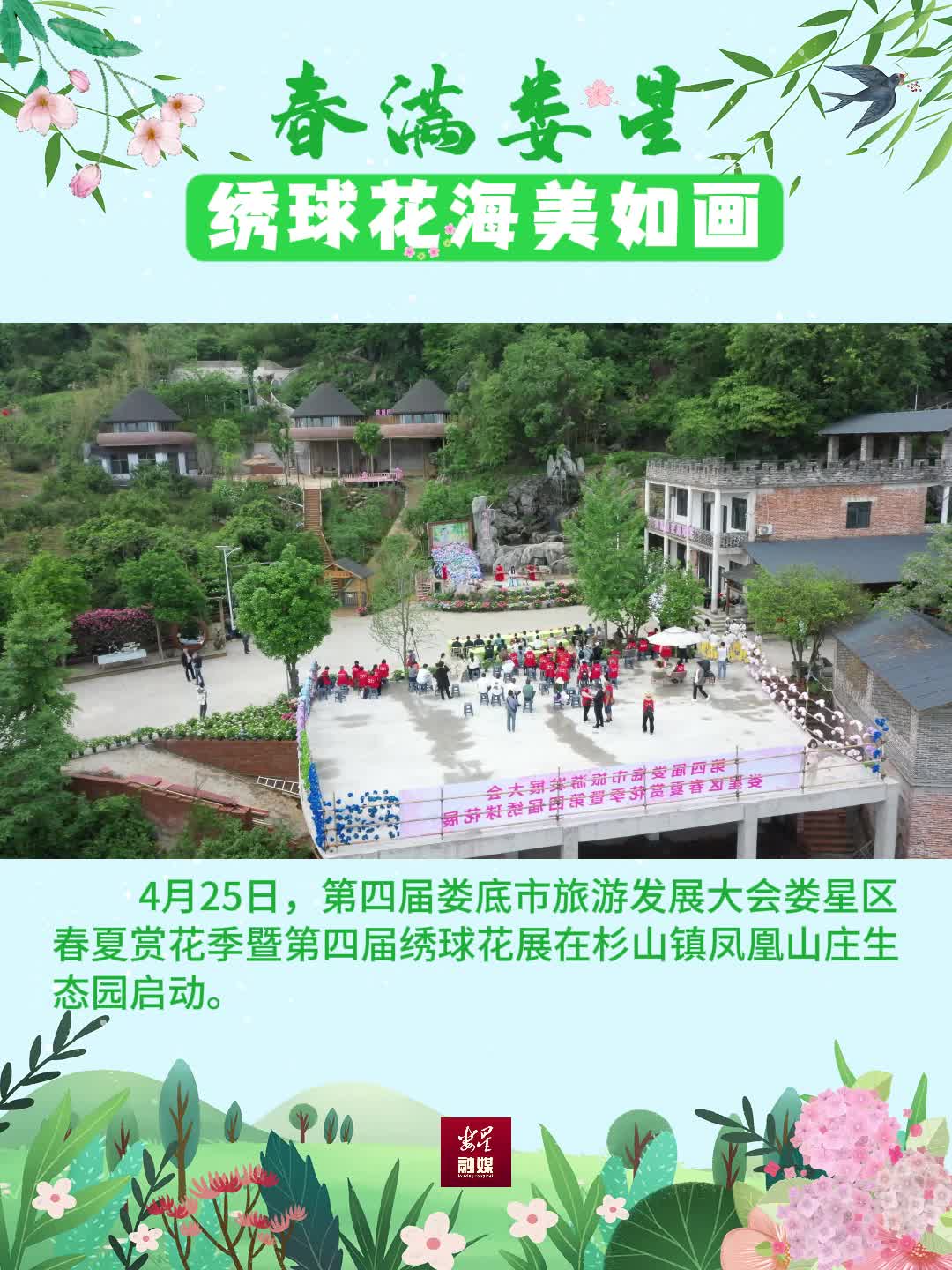 视频|娄星区春夏赏花季暨第四届绣球花展举行