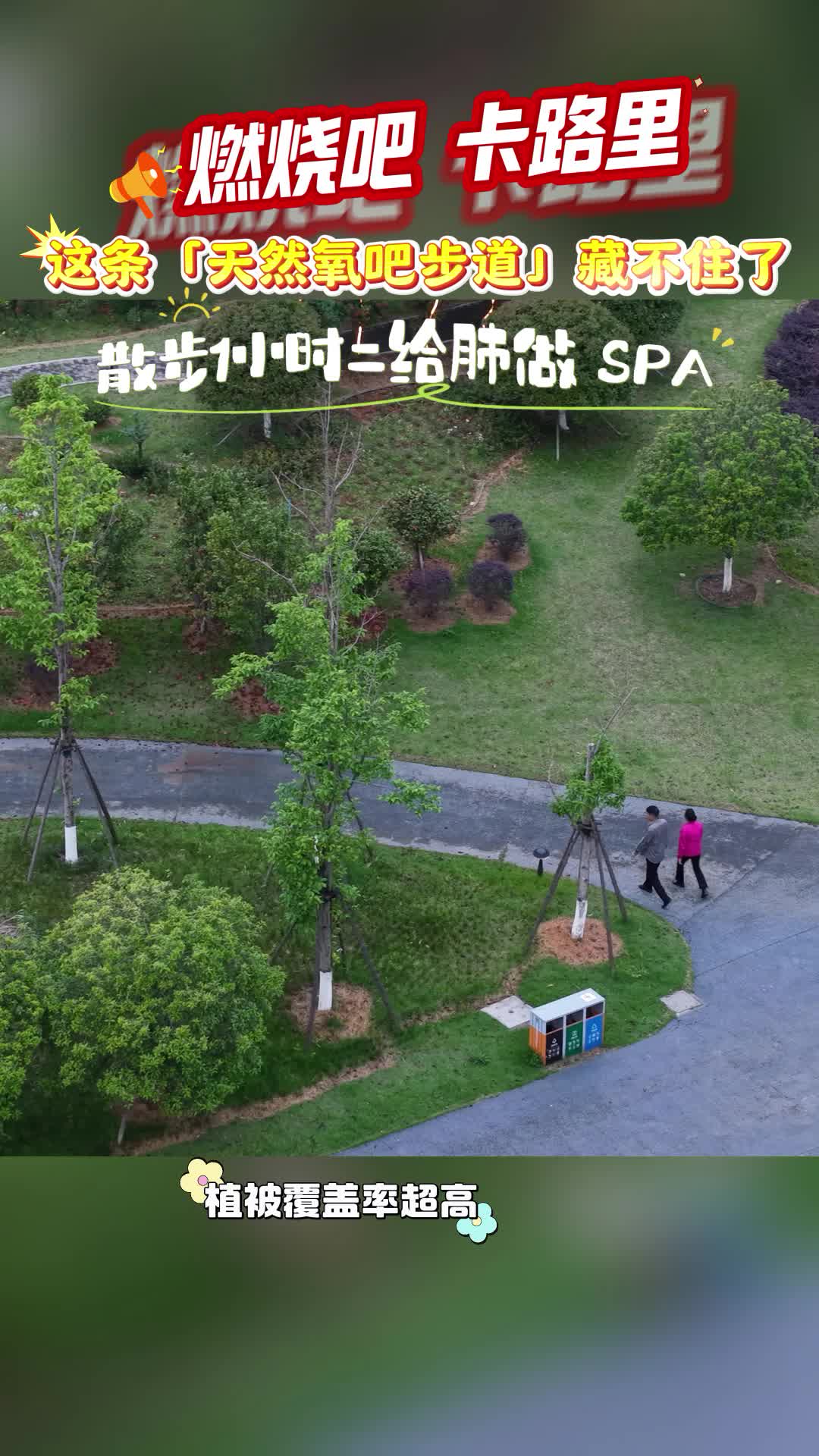 【燃烧吧，卡路里⑤】来“一园两中心”，散步1小时=给肺做SPA