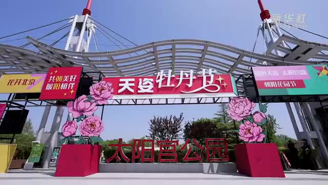 花开似锦 北京这个公园化身“牡丹仙境”
