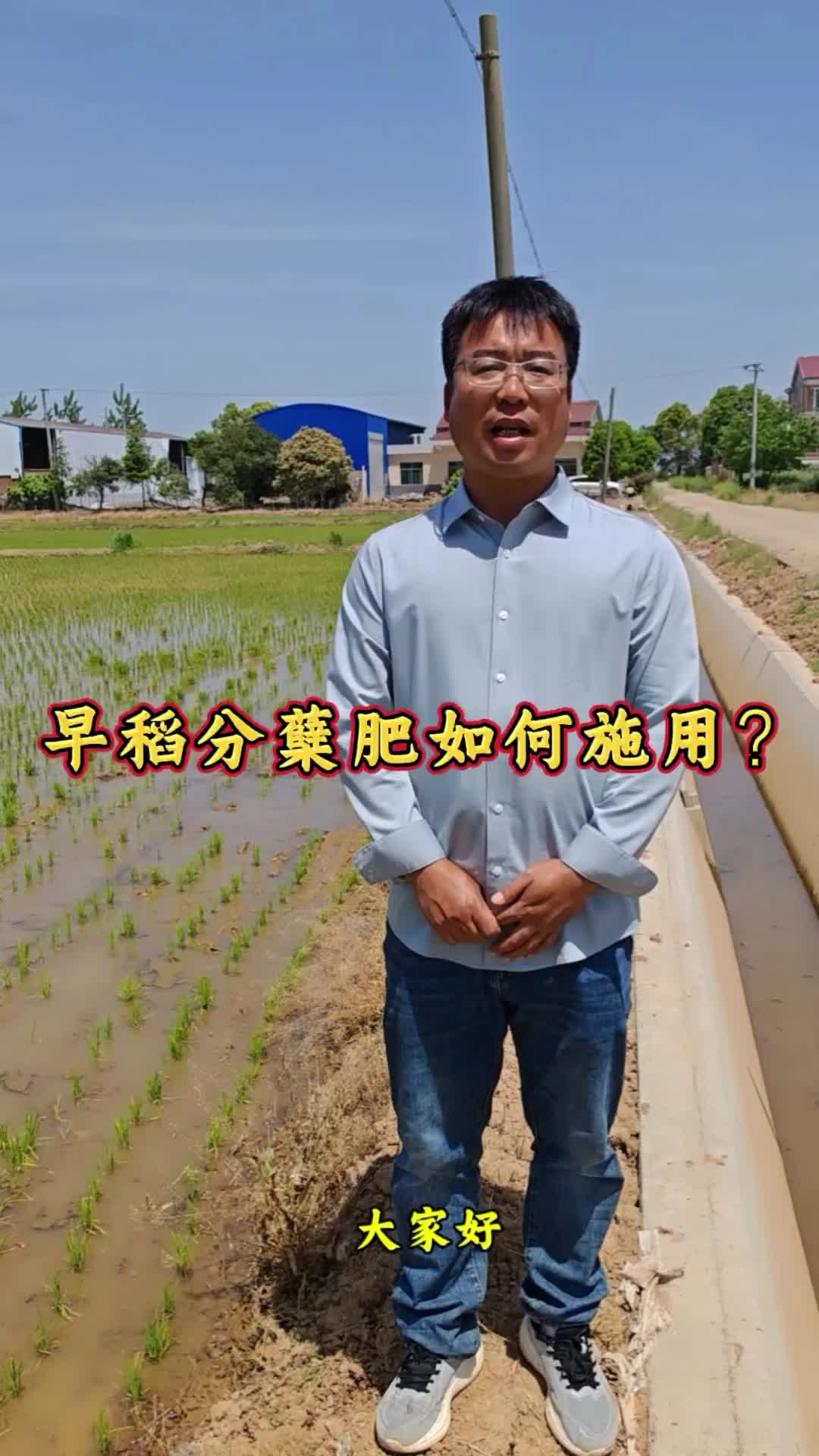 主播看三农丨李博士教你种田：早稻分蘖肥如何施用？