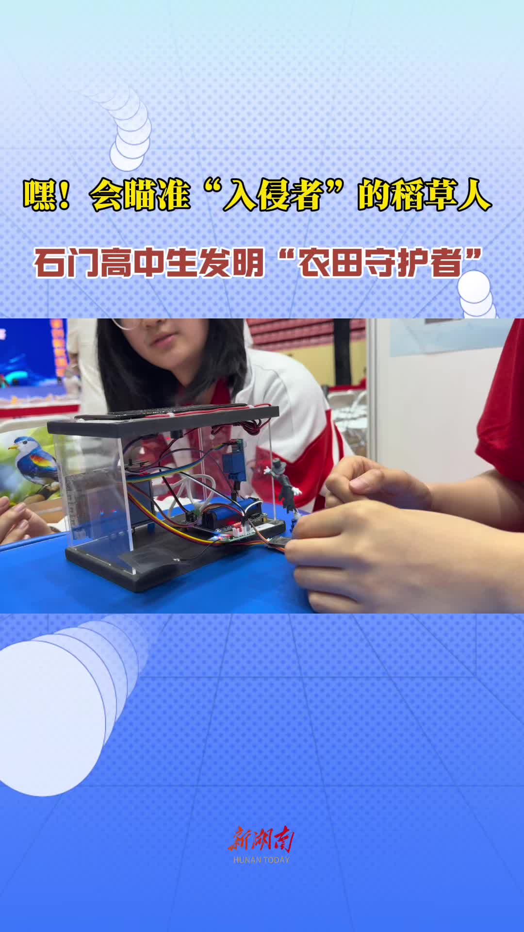 嘿！智能稻草人 石门高中生发明“农田守护者”