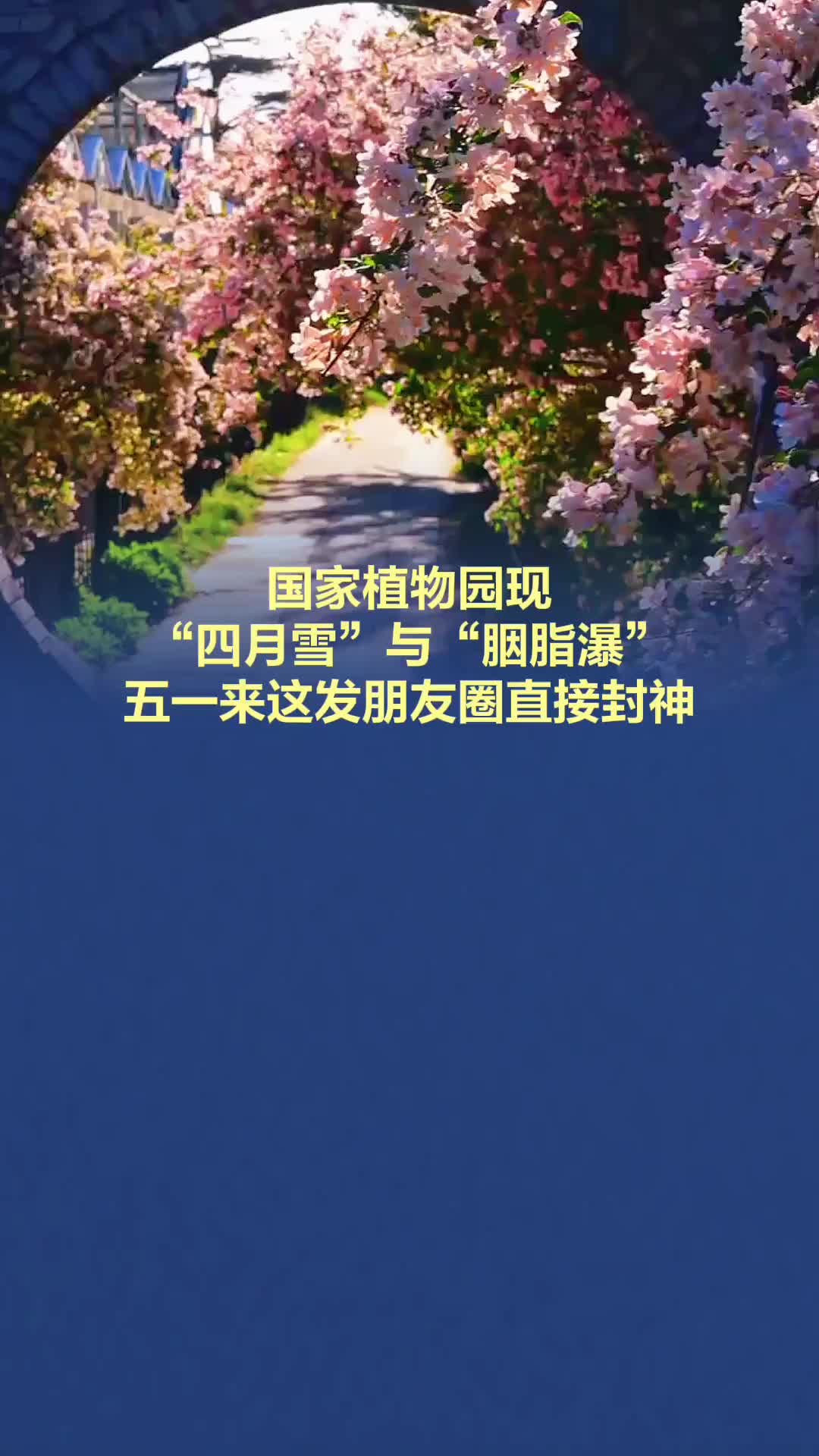 国家植物园现“四月雪”与“胭脂瀑”，假期来这发朋友圈直接封神！