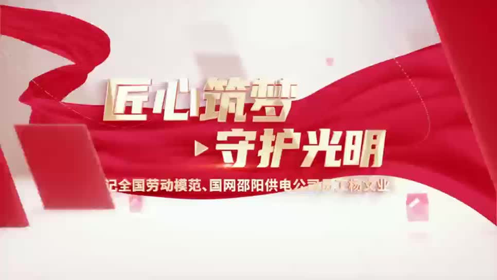 国网邵阳供电公司职工杨文业：匠心筑梦  守护光明