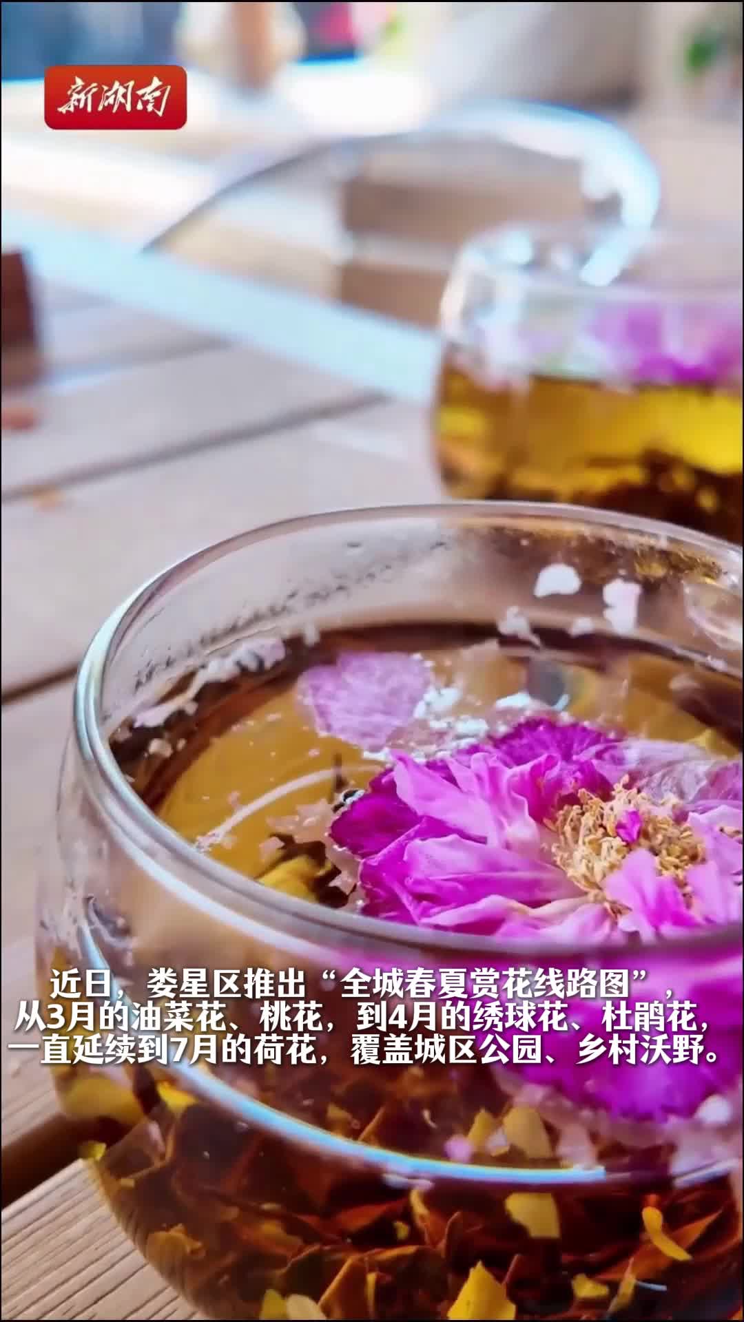 五一“趣”娄底（20）·视频|跟着娄星“赏花地图”去看花