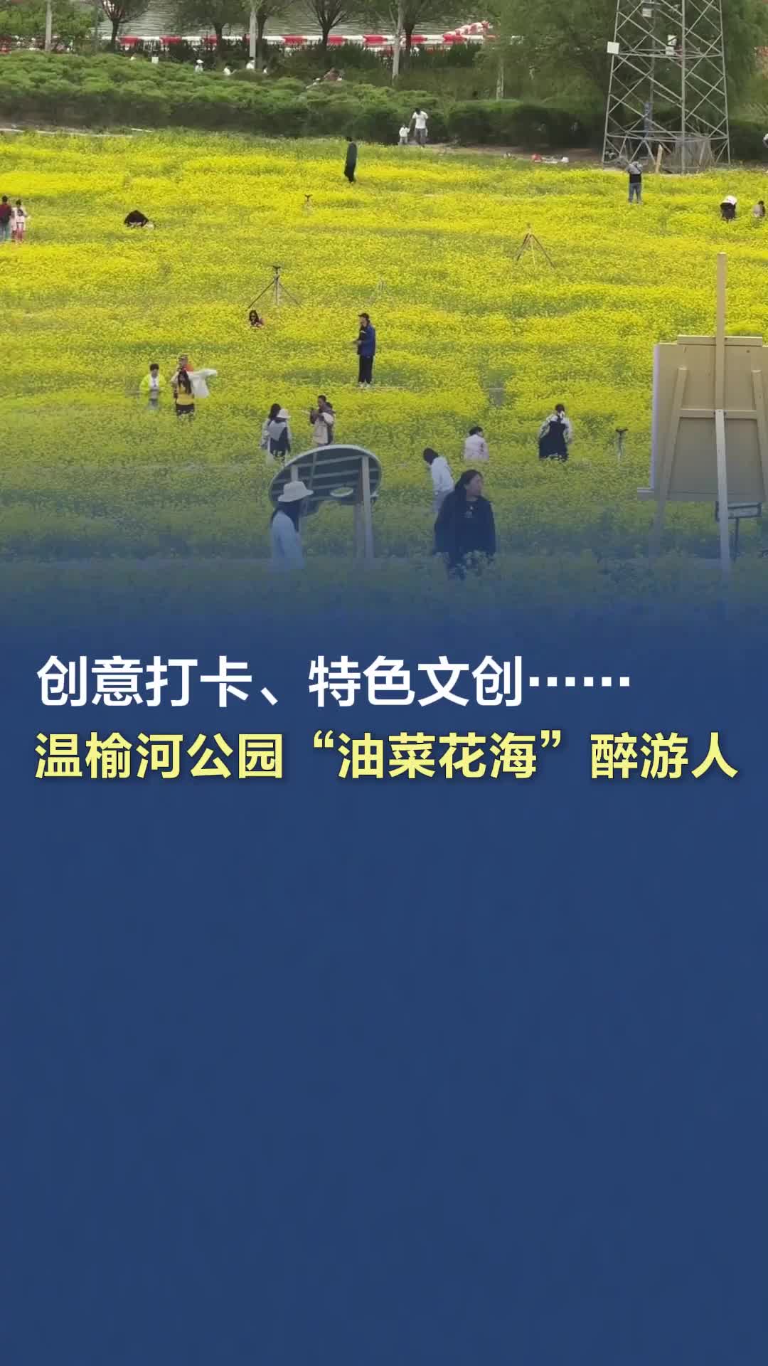 创意打卡、特色文创……温榆河公园“油菜花海”醉游人