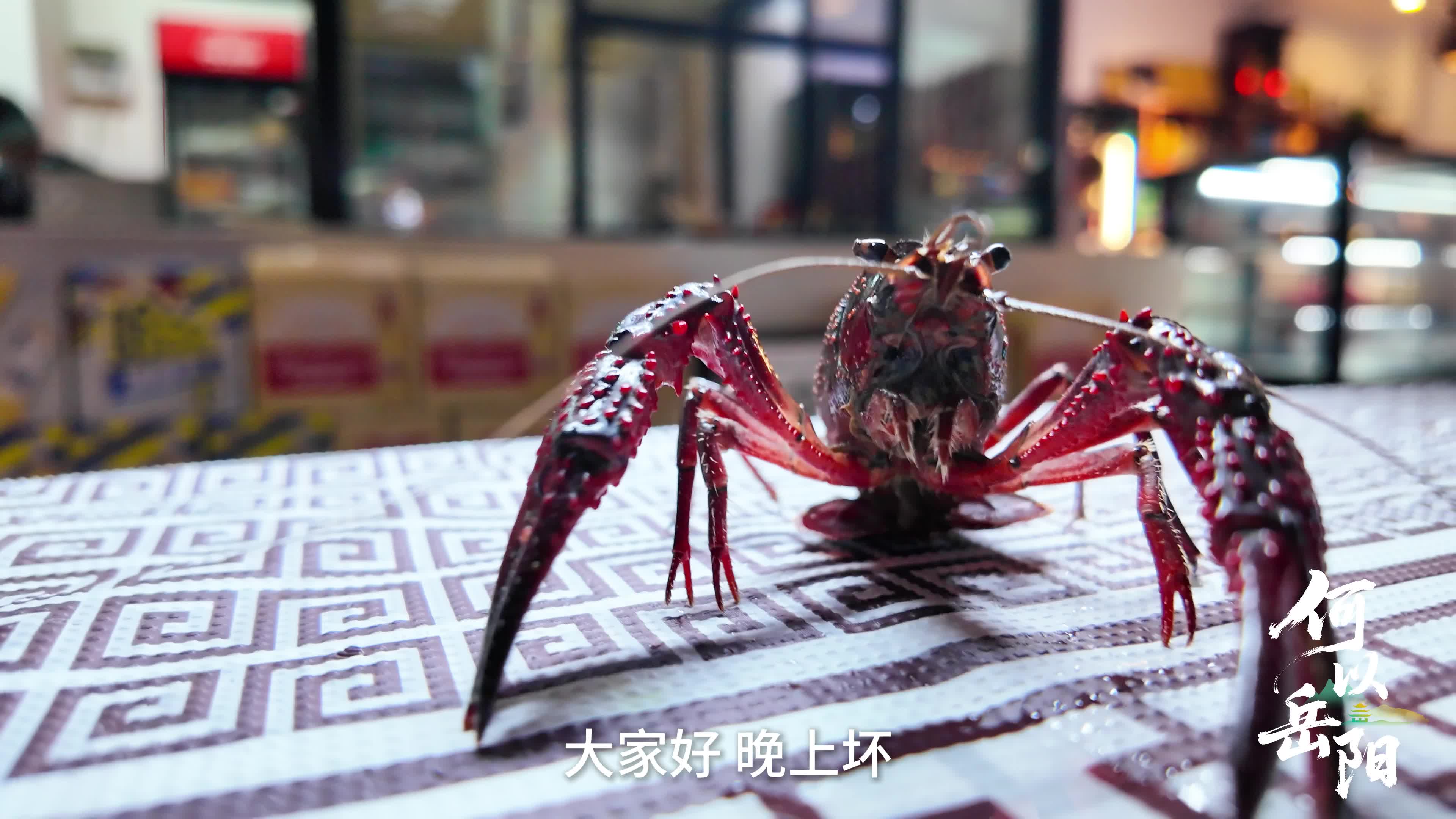 何以岳阳｜从江湖到铁锅，这波红温我先炫为敬！