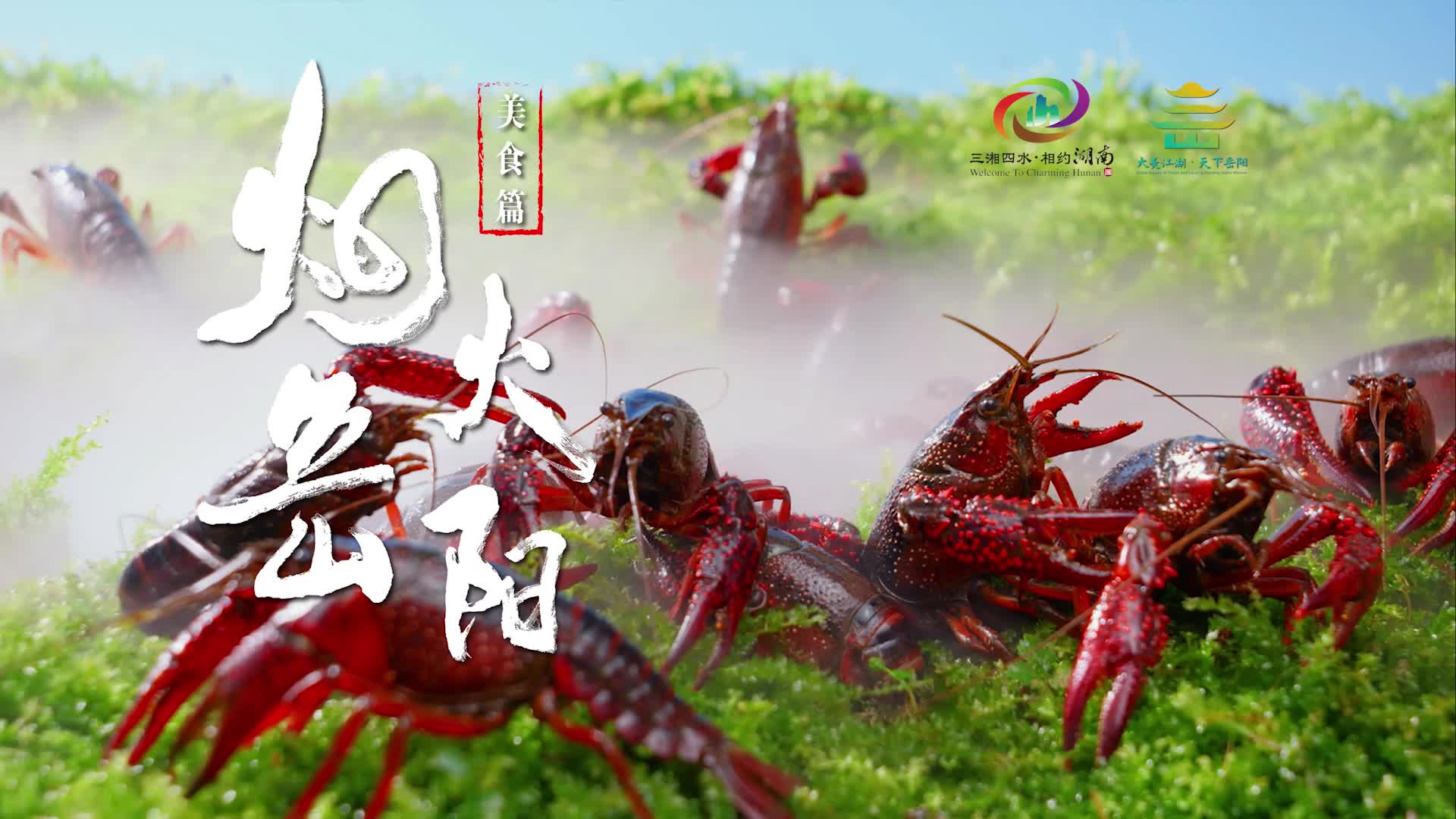 【烟火岳阳】美食篇：嘬！一口「虾鲜」醉江湖