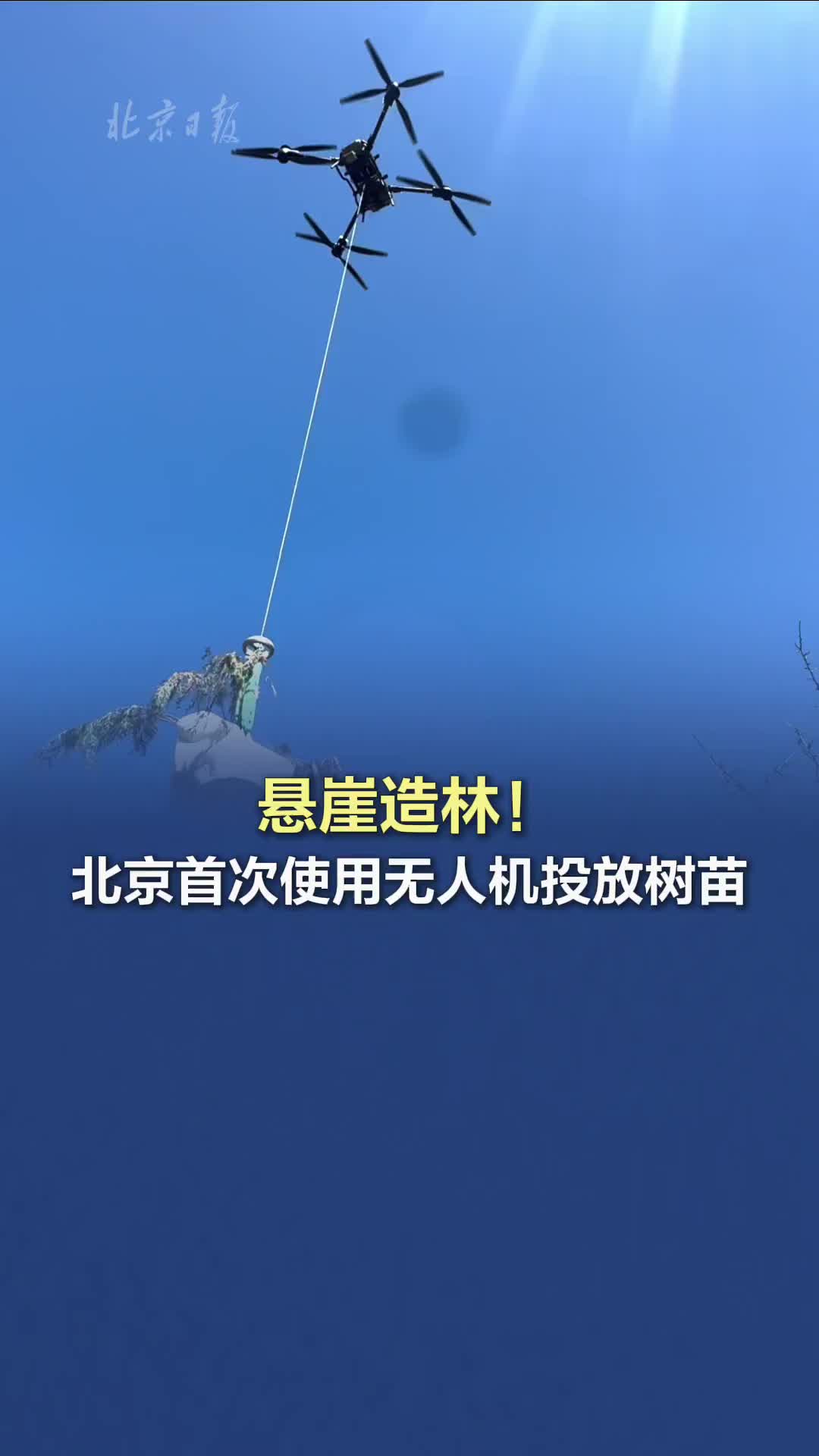 悬崖造林！北京首次使用无人机投放树苗