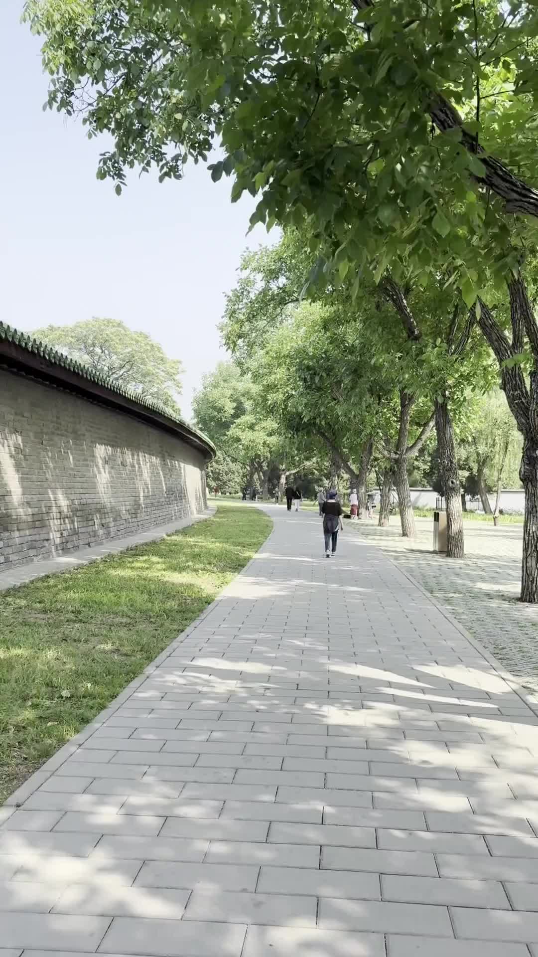 太美了！天坛公园上新2000平方米花境