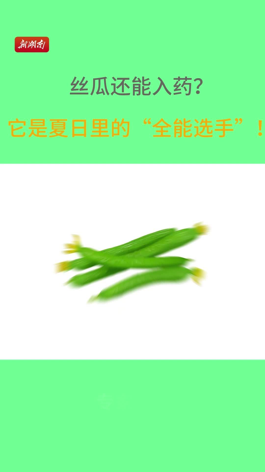 丝瓜还能入药？它是夏日里的“全能选手”！