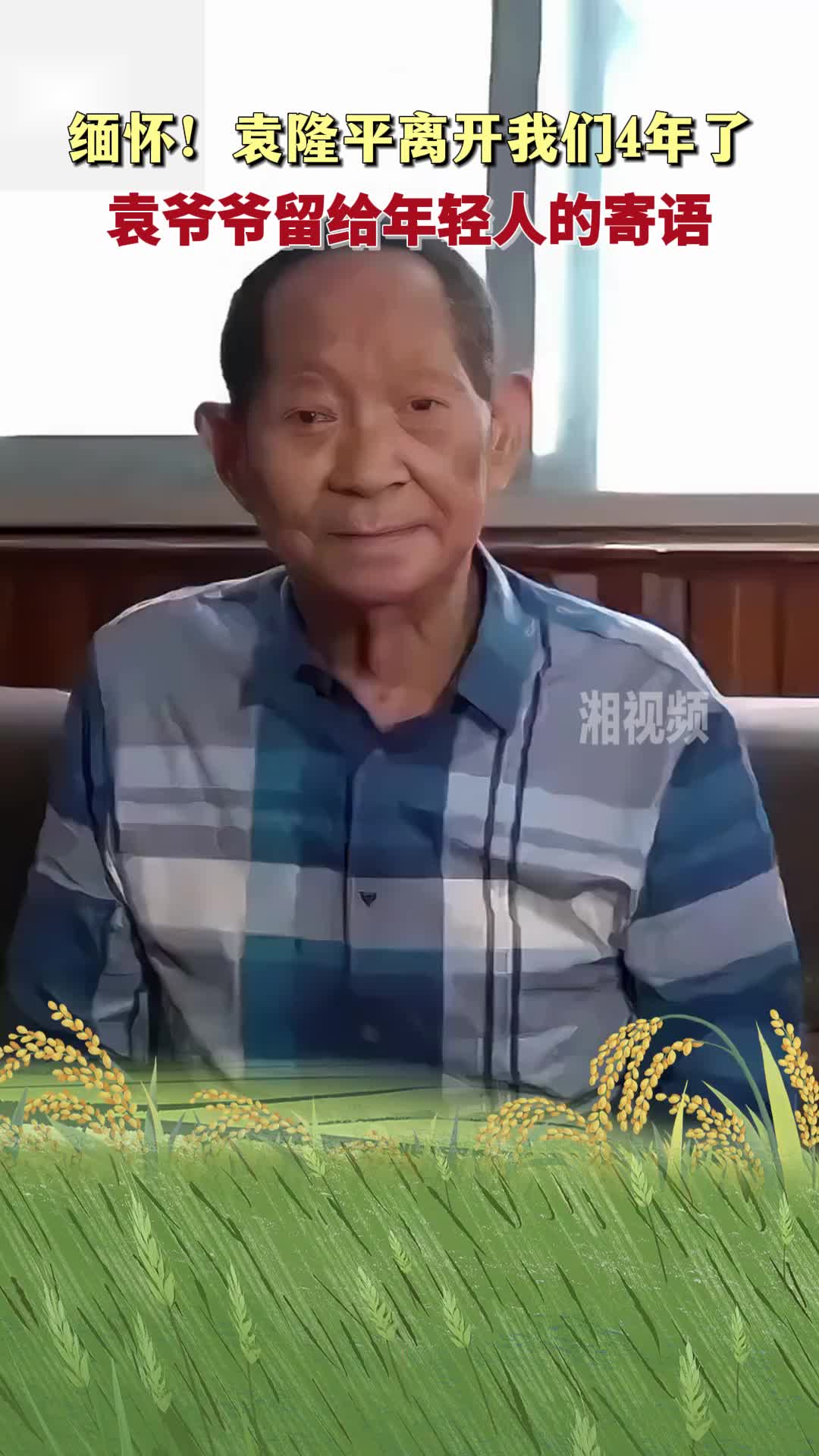 缅怀！袁隆平离开我们4年了 回顾袁爷爷留给年轻人的寄语
