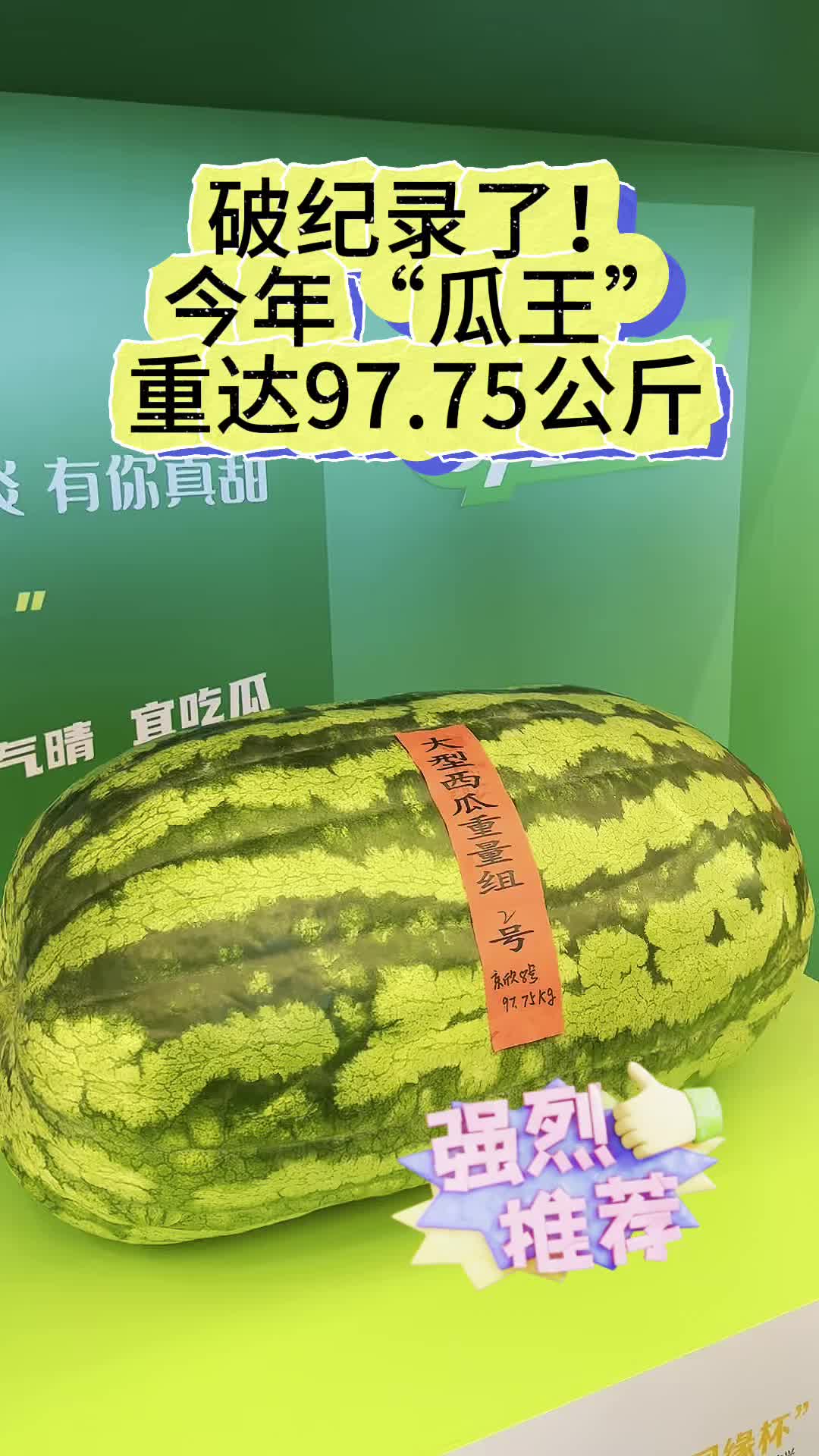 破纪录了！今年“瓜王”重达97.75公斤