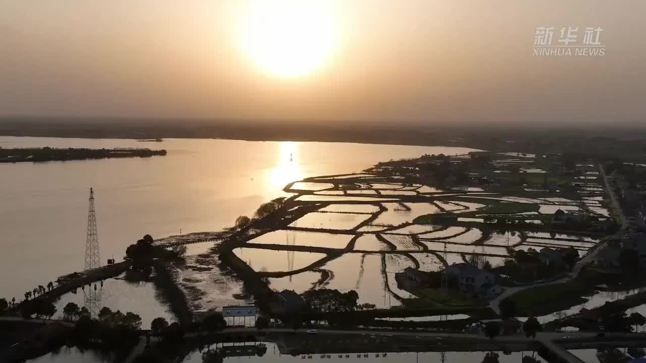 华容团子 稻浪千年